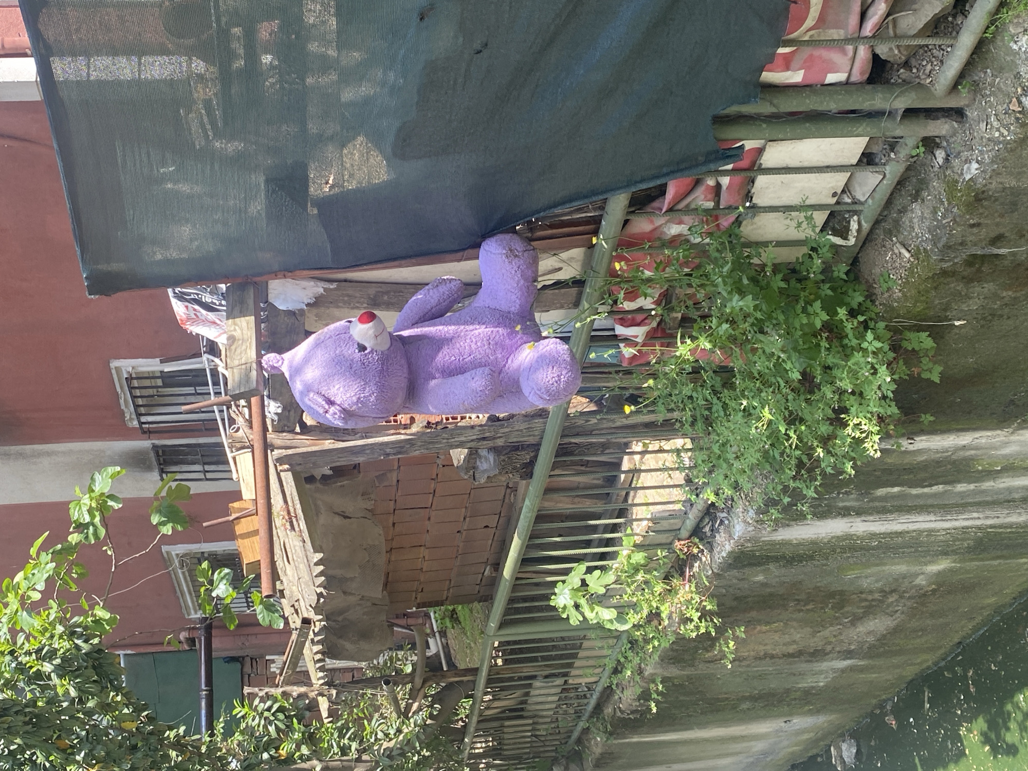 The image depicts a scene in Çekmeköy, Turkey. A purple teddy bear with a red nose is positioned atop a metal structure, possibly a fence or scaffolding, overlooking a waterway. A green canopy is partially visible overhead, providing shade. The background includes a brick building with windows and a variety of foliage, including trees and smaller plants. The waterway appears to be concrete and has a murky color.