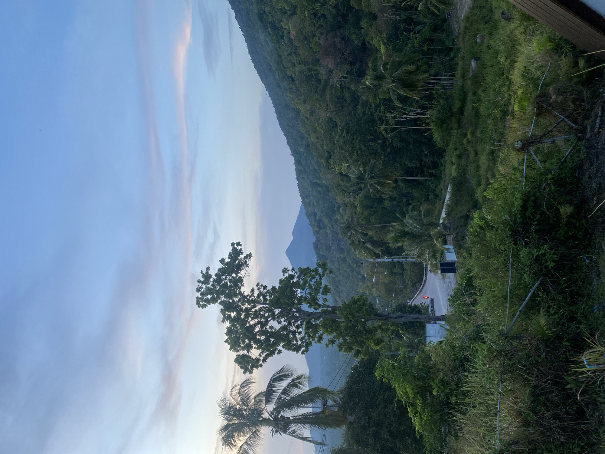 The image shows a lush, tropical scene in Baan Kai, Thailand. The foreground is dominated by dense foliage with a large tree in the midground and a palm tree in the lower left. A road winds through the vegetation with a vehicle and streetlights visible. The background features a mountain range partially obscured by clouds and a pale blue sky streaked with pastel colors. The perspective is from an elevated position.