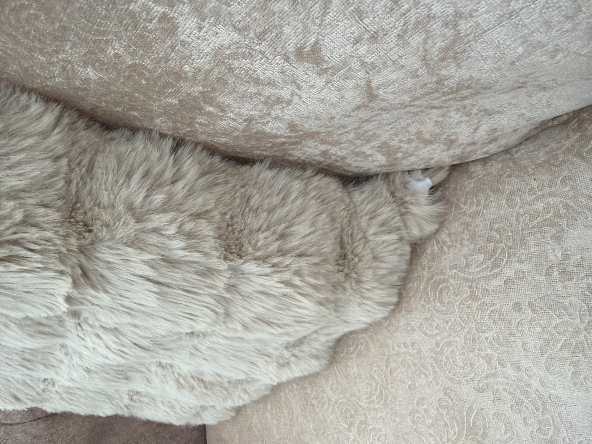 A close-up shot focuses on the textures of two cushions. The cushion in the foreground is covered in a long, fluffy, cream-colored faux fur. It appears soft and luxurious. The cushion behind it is a lighter shade of cream and has a textured, almost velvet-like finish with a subtle damask pattern woven into the fabric. The two cushions are positioned so that the furry one is partially tucked into the crevice of the textured one, creating a soft, cozy visual. In the lower left portion of the image, a small part of a third, darker cushion or furniture piece is visible, hinting at a larger seating arrangement. A tiny white object, possibly a paw or a bit of stuffing, is peeking out from between the two main cushions, adding a touch of intrigue to the scene. The lighting is soft and diffused, suggesting an indoor setting, possibly a living room or a bedroom, where comfort and relaxation are key. The overall impression is one of warmth and plushness. There is no visible text.