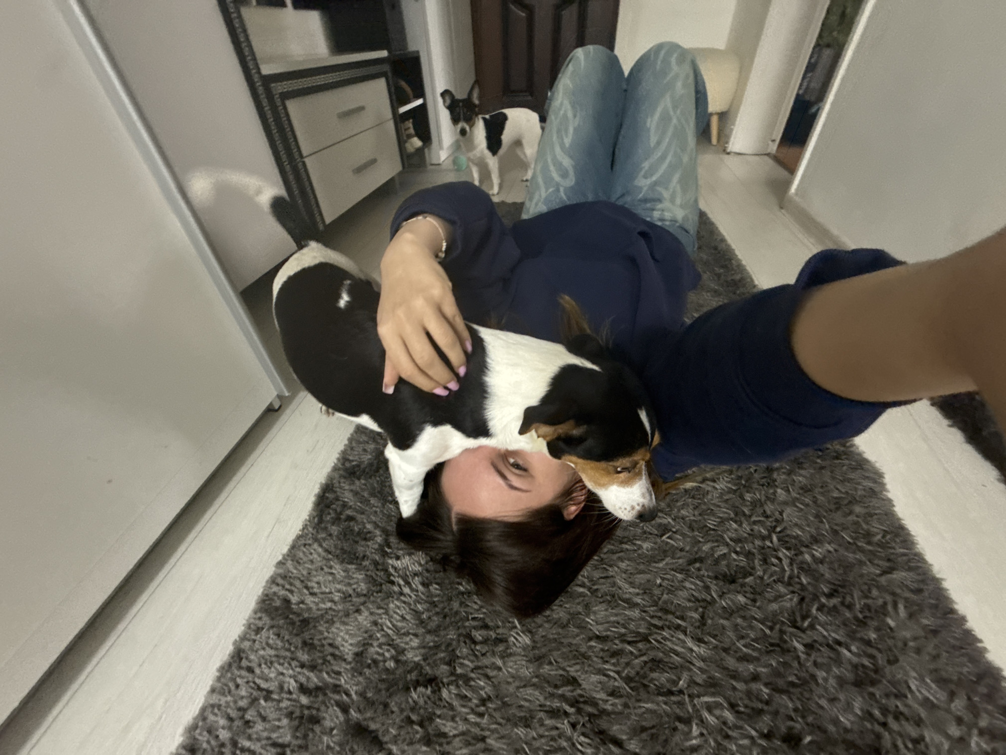 A woman is lying on her back on a gray shag rug, with a black-and-white dog standing on her head. She is wearing blue jeans and a dark blue sweatshirt. The woman's right arm extends toward the camera. Another black-and-white dog stands behind her legs. The room contains a dresser, doorway, and doorway to another room. The city of Sofia, Bulgaria, is not discernible from the image.