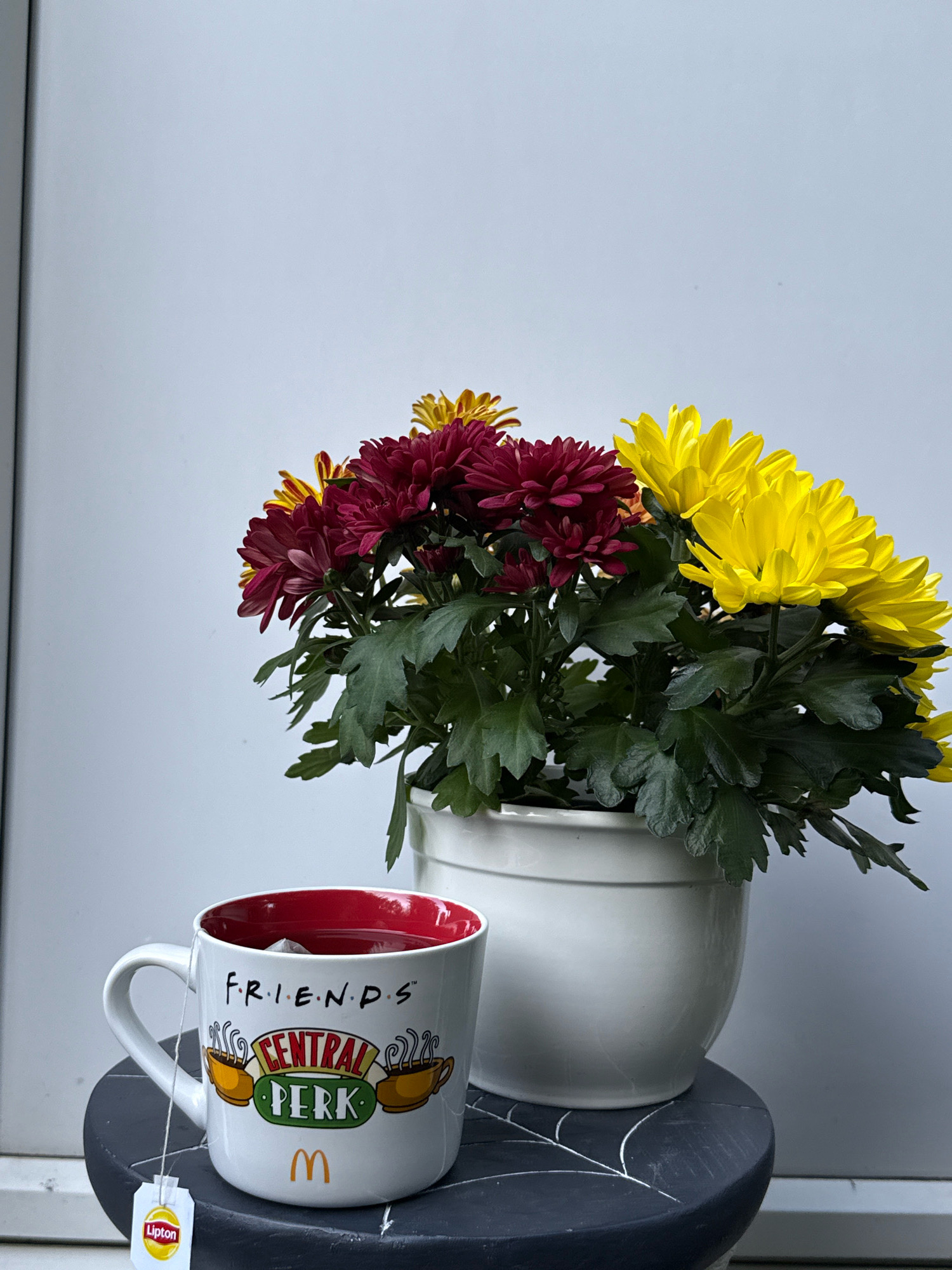 A white mug with "FRIENDS Central Perk" branding sits on a dark round stool. A tea bag hangs from the mug, with a Lipton tag visible. Behind the mug, a white pot contains a bouquet of maroon and yellow chrysanthemums with green leaves. The background is a plain, light-colored wall. The scene is indoors, likely in a domestic setting.