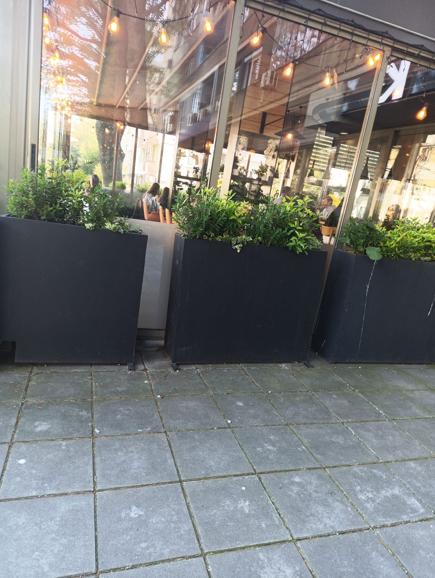 The image presents a street-level view outside a building, likely a cafe or restaurant, characterized by large, highly reflective glass windows. In the foreground, a light gray concrete tiled sidewalk shows signs of wear, with minor debris and occasional moss visible in the grout lines.
Three large, black, rectangular planters, filled with vibrant green foliage, are arranged in a slightly angled line along the building's facade, separating it from the paved area. Minor scratches or white marks are visible on the dark surfaces of the planters, particularly on the rightmost one.
Through and reflected in the glass windows, both the interior and exterior environments are visible. Inside, several patrons are seated at tables, appearing to be dining or socializing. On the left, two individuals are seen from behind, one with long dark hair. Towards the right, more people, including men, are visible sitting inside. Warm-toned string lights with exposed bulbs are strung across the window frames, many of them illuminated and contributing to a cozy atmosphere.
The reflections on the glass reveal parts of the surrounding urban landscape, including green trees and other buildings with windows, illuminated by bright daylight. The combination of natural light and the lit string lights suggests a daytime setting, possibly late afternoon or early evening. A partial capital letter "K" is discernible as part of a sign or a reflection on the upper right side of the window. No specific weather conditions are indicated beyond apparent clear skies.