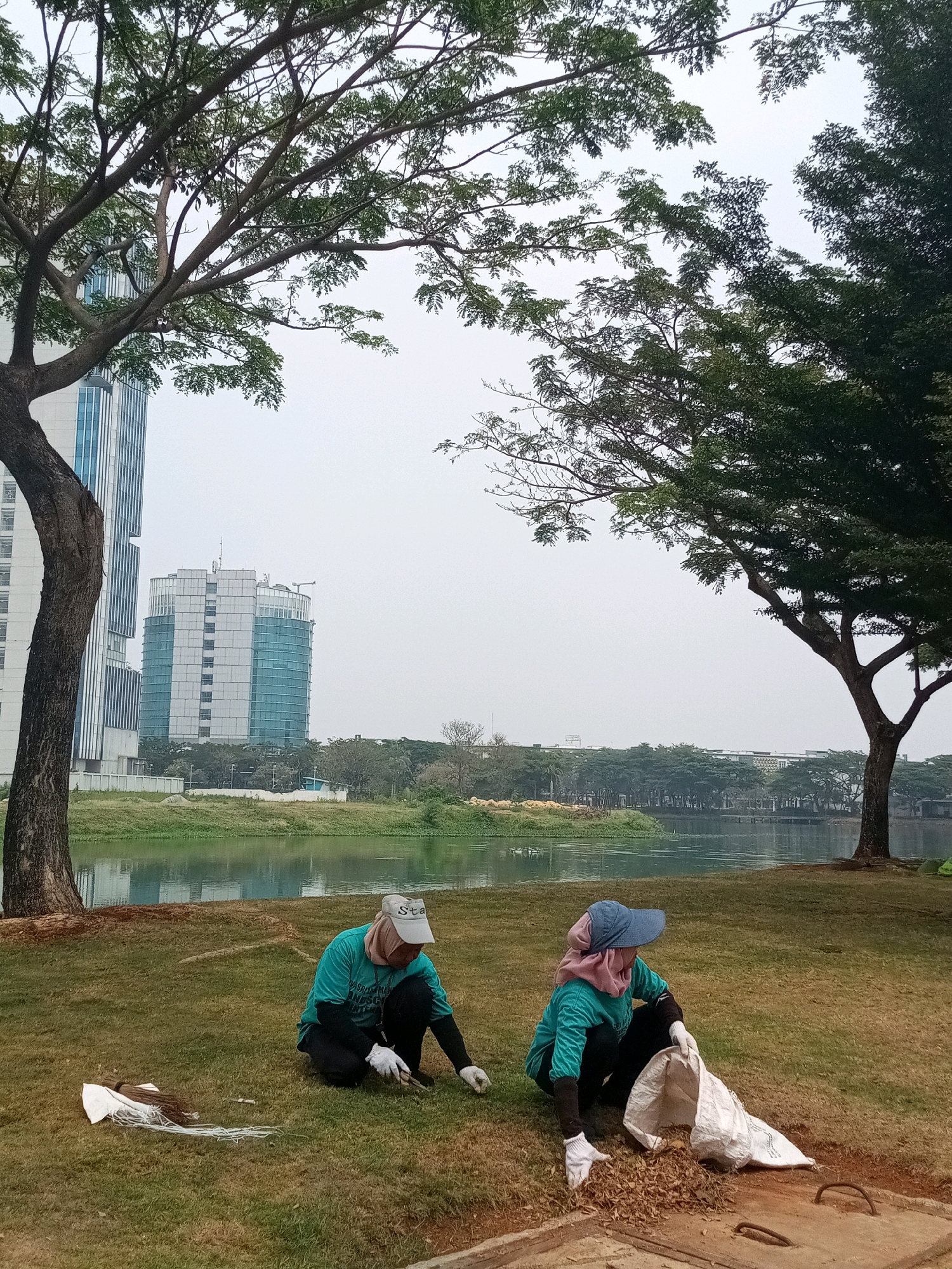 In a park setting in Bekasi, Indonesia, two individuals are engaged in cleaning the grounds near a body of water. The park features lush green grass, mature trees with dense foliage, and a calm body of water in the middle ground. In the background, modern high-rise buildings with glass facades and a cluster of smaller buildings are visible, indicating an urban environment. The sky is overcast, suggesting a diffused natural light.
The two people are positioned in the foreground, crouched on the grass. Both are wearing protective gloves and casual attire suitable for outdoor work. The person on the left is wearing a teal long-sleeved shirt, black pants, a light-colored cap with "Sta" written on it, and a light pink headscarf. They are holding a tool that resembles pruning shears and appear to be tending to the grass or nearby foliage. A white bag and a bundle of what looks like dried grass or leaves are lying on the ground next to them. The person on the right is also wearing a teal long-sleeved shirt, black pants, a blue cap, and a pink headscarf. They are actively gathering dried leaves and debris into a large white plastic bag. The ground in front of them has a concrete structure with metal handles, possibly a manhole cover. The overall scene depicts a collaborative effort in maintaining the cleanliness and order of a public park.