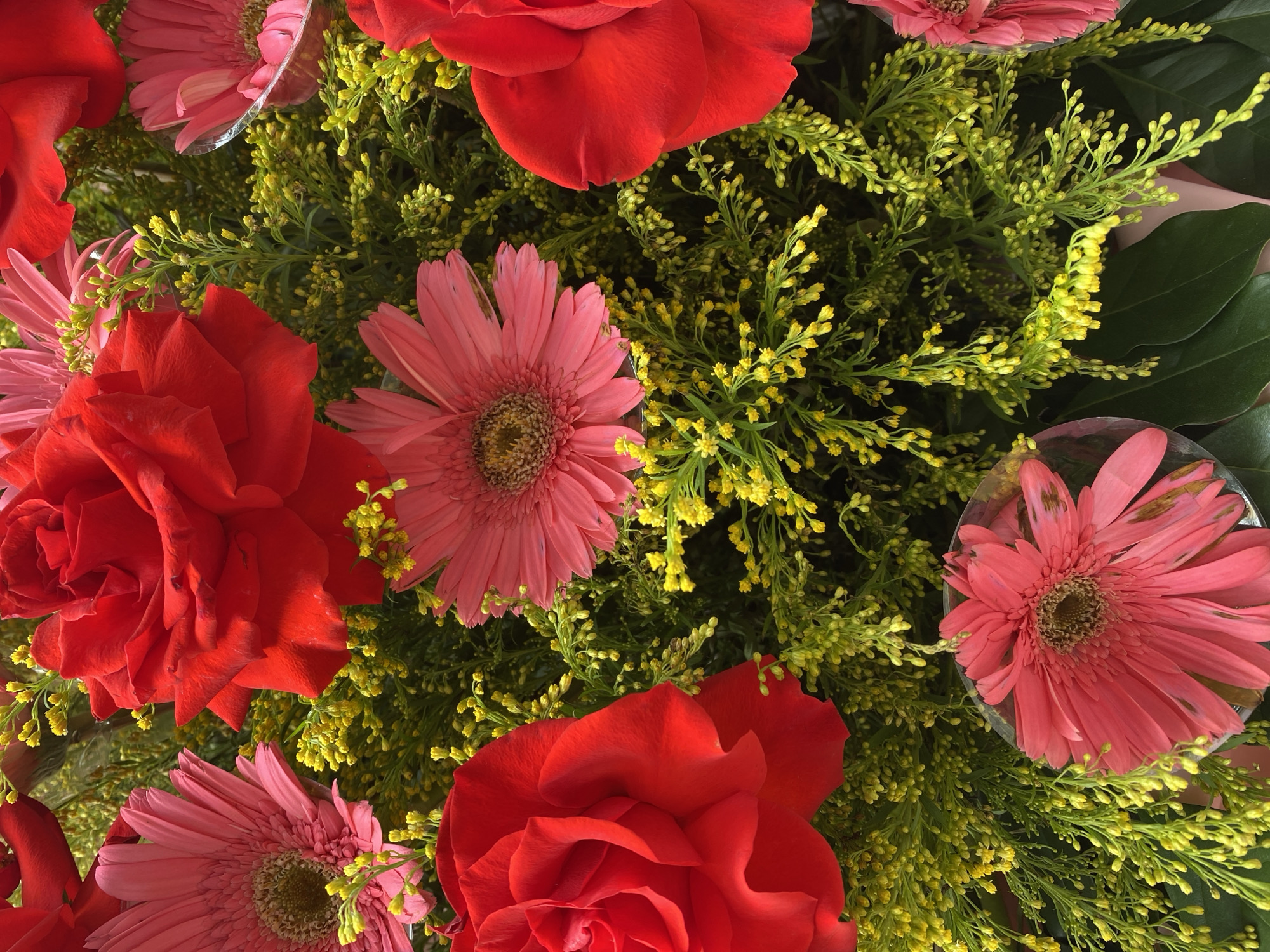 This is a close-up, overhead shot of a vibrant floral arrangement. Dominating the frame are large, red roses and pink gerbera daisies. The flowers are interspersed with a dense arrangement of small, yellow buds on thin green stems, creating a textured backdrop. Some of the gerbera daisies are partially enclosed in clear plastic, suggesting they are part of a bouquet or gift presentation. The lighting appears to be natural, highlighting the rich colors and delicate details of the flowers. The image does not contain any people, actions, or interactions. There are no discernible landmarks or elements that would indicate a specific location in Đà Nẵng, Vietnam.
