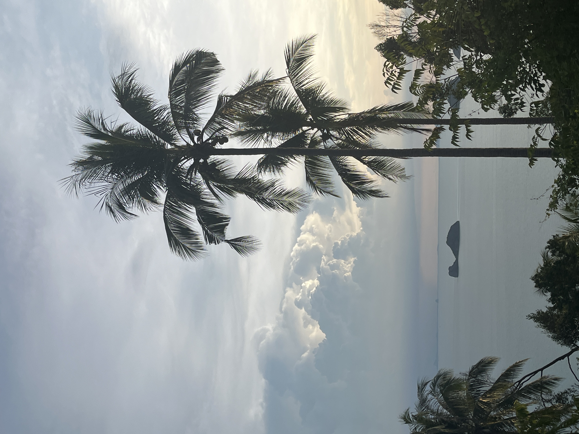 This image captures a serene view of the ocean at Baan Pang Ka, Thailand. Two tall palm trees dominate the foreground, their fronds silhouetted against a soft, overcast sky. The ocean stretches out to the horizon, with a small, rocky island visible in the distance. Large, dramatic clouds fill the sky on the left side of the frame, tinged with the warm glow of what appears to be sunrise or sunset. Lush green foliage frames the bottom right corner, adding to the tropical feel of the scene. The overall atmosphere is tranquil and natural.