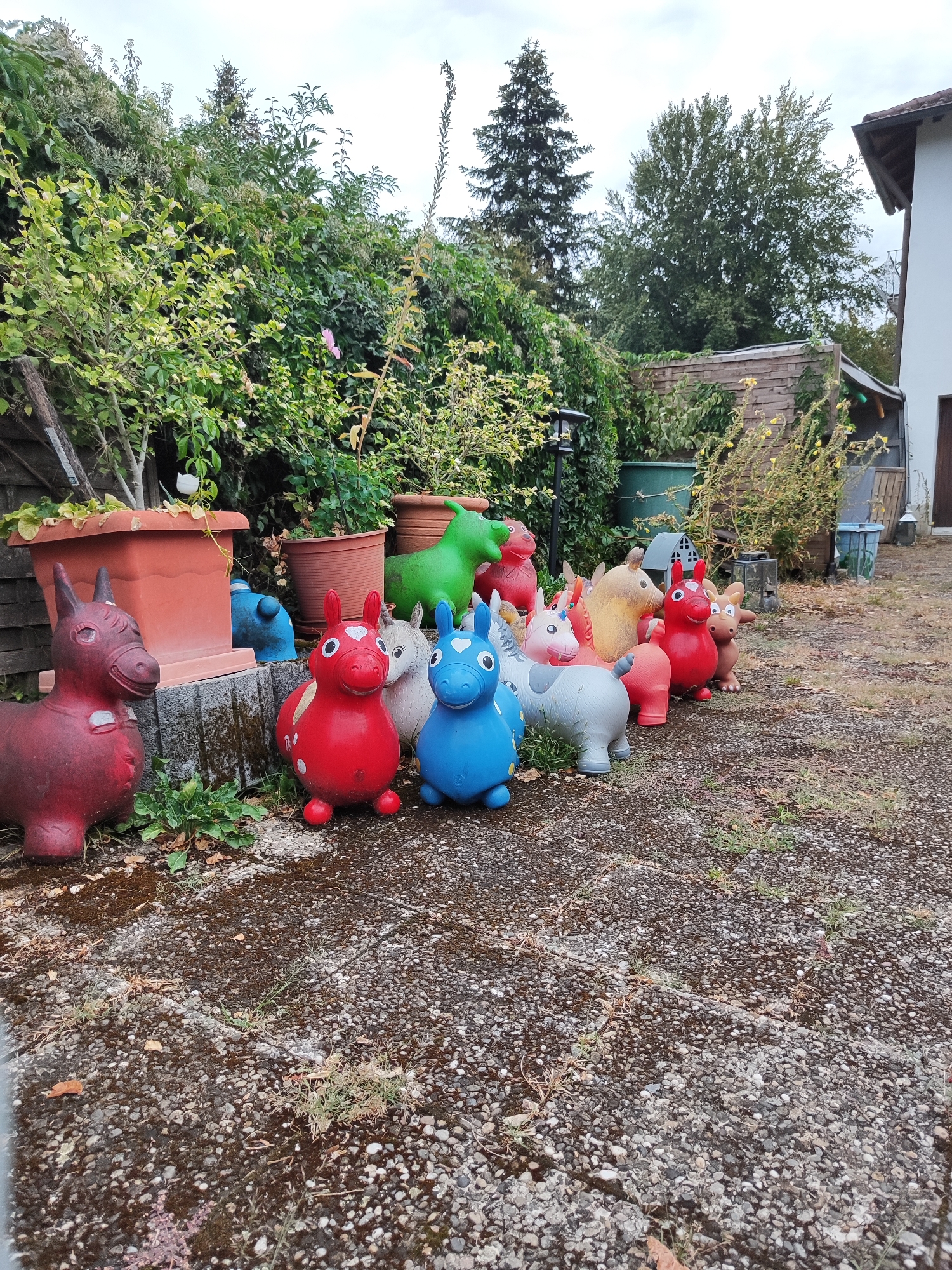 This is a photograph of a collection of inflatable animals, likely children's toys, arranged on a gravelly surface in a garden. The toys are in various colors including red, blue, green, and tan, and represent animals such as horses, a donkey, and a dog. Some of the toys appear to be well-used. Behind the toys, there is a brick wall, potted plants, and dense green foliage. In the background, a portion of a white building with a brown roof is visible, along with a wooden fence and a glimpse of a tree. The sky is overcast. The image appears to have been taken in a residential backyard. The location is identified as Offenburg, Germany.
