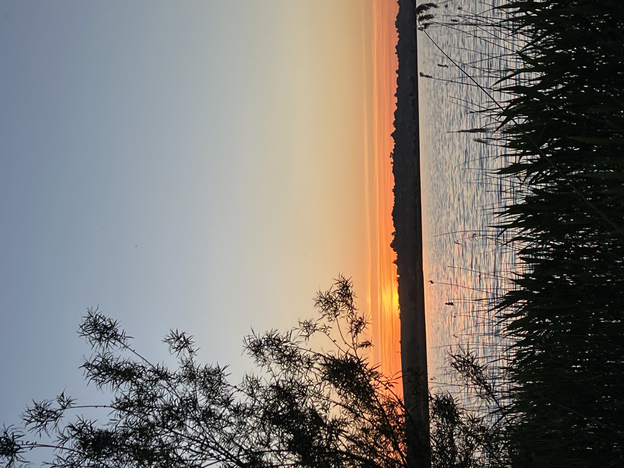The image shows a sunset over a body of water, possibly a river or lake. The sky transitions from blue to orange, with the sun appearing as a bright spot near the horizon. Vegetation, including reeds and bushes, is silhouetted against the water and sky. A dark vertical structure is present in the middle of the image. The image's location is in the city of Reniv, Ukraine. There are no people depicted.
