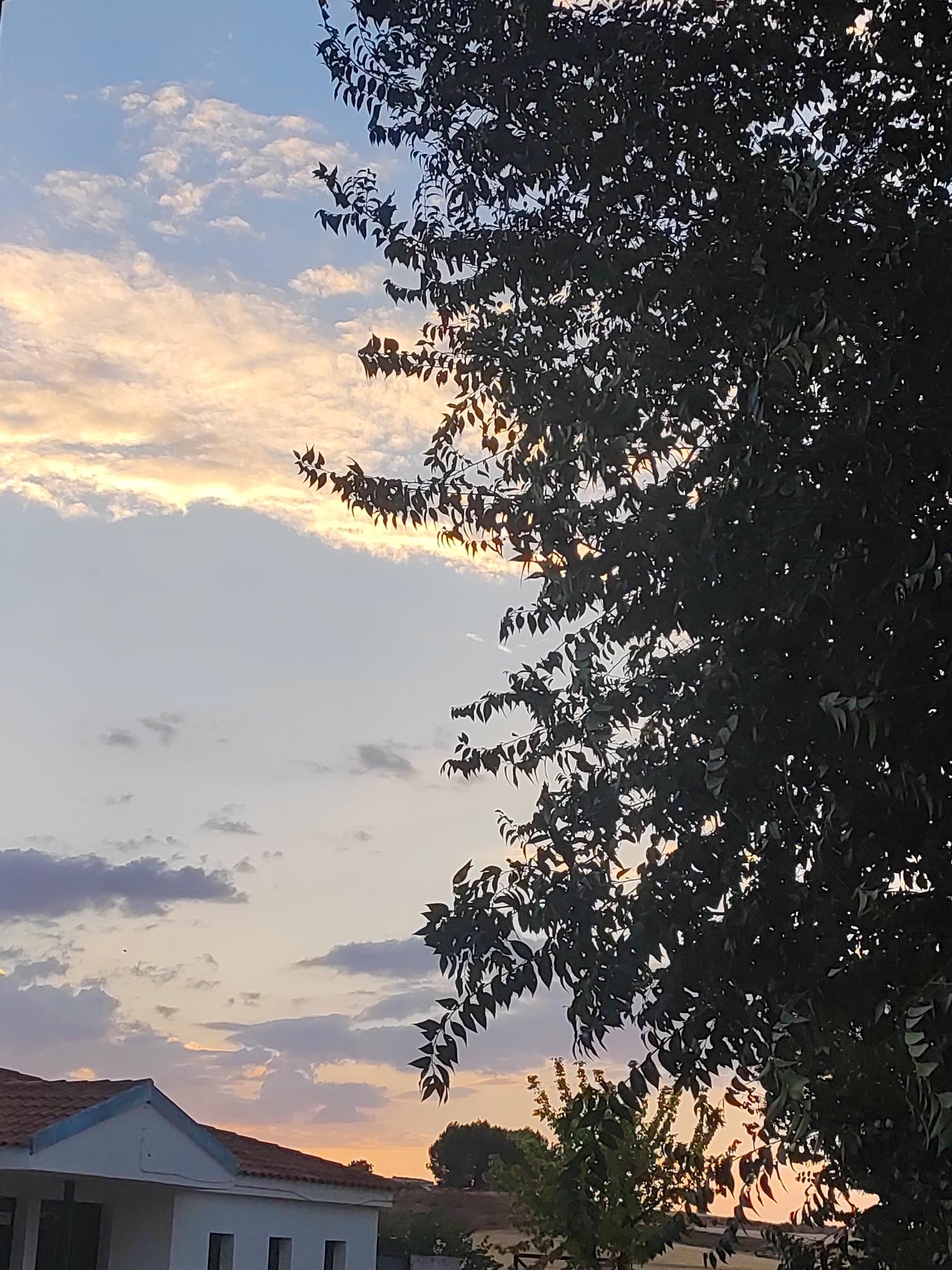 The image depicts a sunset scene in Villarejo de Fuentes, Spain. A silhouette of a tree with dark green leaves dominates the right side of the frame, with sunlight filtering through the branches. In the background, a portion of a white house with a tiled roof is visible on the left. The sky is a gradient of pale blue and soft orange, with scattered white clouds tinged with sunlight. A few distant trees are also visible on the horizon.