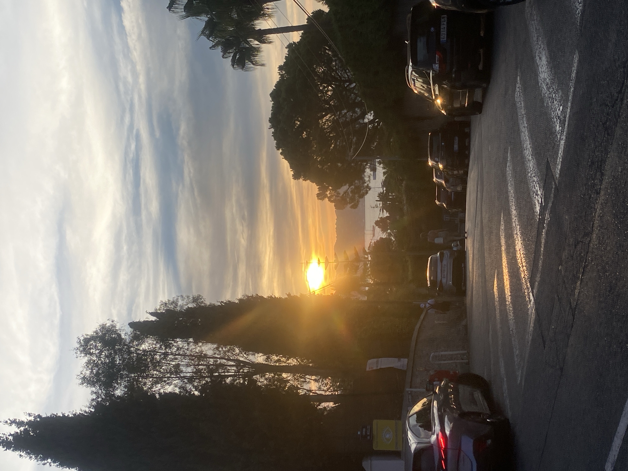 The image captures a sunset scene on a street in Antibes, France, with the golden light of the setting sun casting a warm glow. In the foreground, a pedestrian crossing is visible on the asphalt road. Several cars are parked along the street, including a silver car on the left and a dark SUV on the right, with another dark car in front of it. Some pedestrians are walking on the sidewalk and crossing the street. Tall cypress trees line the left side of the road, and lush green trees and palm trees are scattered throughout the scene, with a body of water and distant hills visible in the background, indicating a coastal location. The sky is filled with scattered clouds, illuminated by the setting sun.