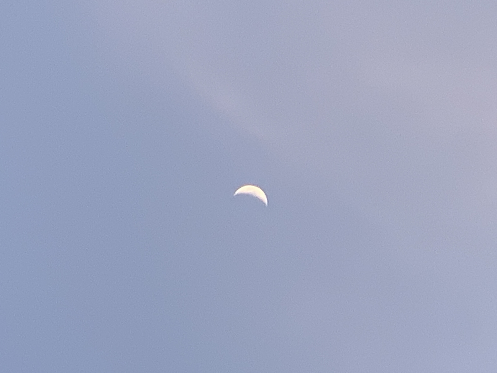 The image shows a crescent moon against a clear, pale blue sky. The moon is small and positioned slightly off-center in the upper part of the frame. Its illuminated portion forms a delicate curve, suggesting it is in its waxing phase. The sky is a uniform, light blue, with no clouds or other celestial bodies visible. The overall impression is one of simplicity and vastness, highlighting the solitary presence of the moon in the daytime sky. There are no people, objects, or discernible location cues in the image. The lighting suggests it is daytime, likely late afternoon or early evening when the moon is visible before sunset.
