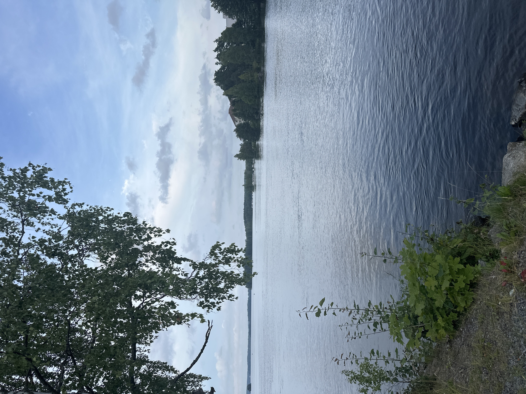 This is a horizontal, eye-level, medium shot of a serene lake with a tree branch in the foreground. The tree branch, with its green leaves, is on the left side of the frame, partially obscuring the sky. The lake occupies the majority of the image, its surface rippling gently. On the opposite shore, a dense line of trees is visible, with some buildings peeking through the foliage. The sky is cloudy, with patches of blue peeking through. The location is near the city of Vammala, Finland. The overall mood is peaceful and tranquil.