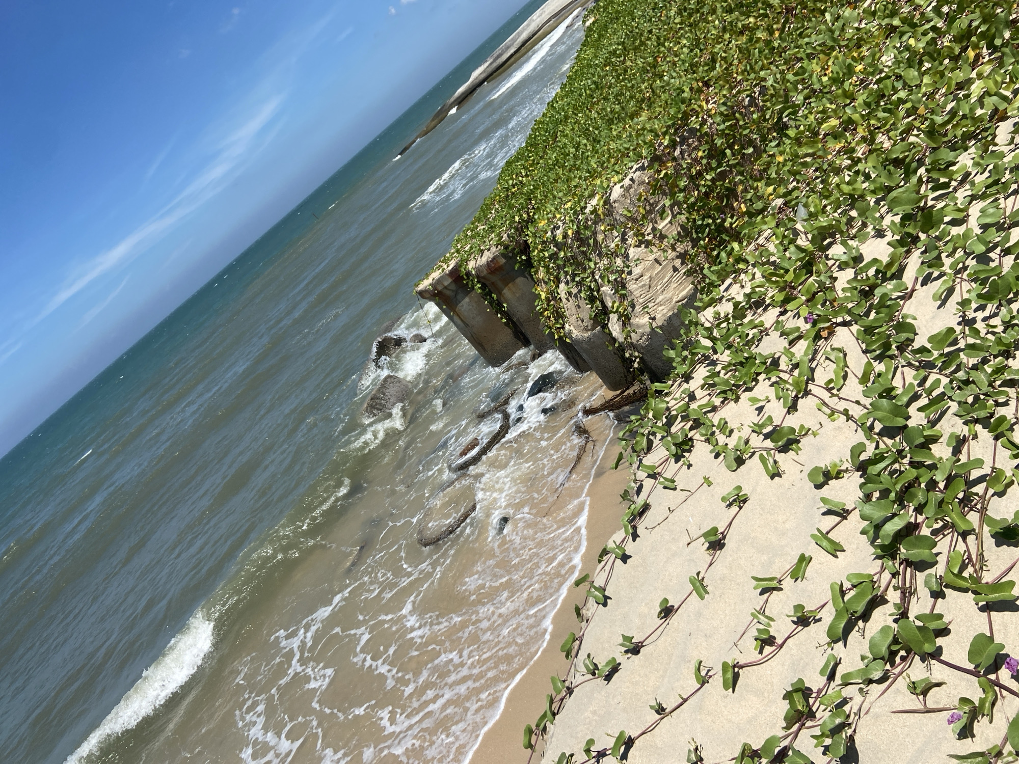 The image shows a view of the ocean and a sandy beach, with a concrete structure covered in green vines. The ocean water is blue-green with white foam from waves breaking on the shore. The sand is light brown and scattered with some rocks and debris. The concrete structure appears to be a sea wall or some form of coastal defense. Green vines with heart-shaped leaves are growing over the concrete and onto the sandy embankment. In the distance, the sea extends to the horizon under a bright blue sky with some wispy white clouds. The scene is photographed at an angle, giving a sense of perspective. The location is identified as Phu Thuy Ward, Vietnam.