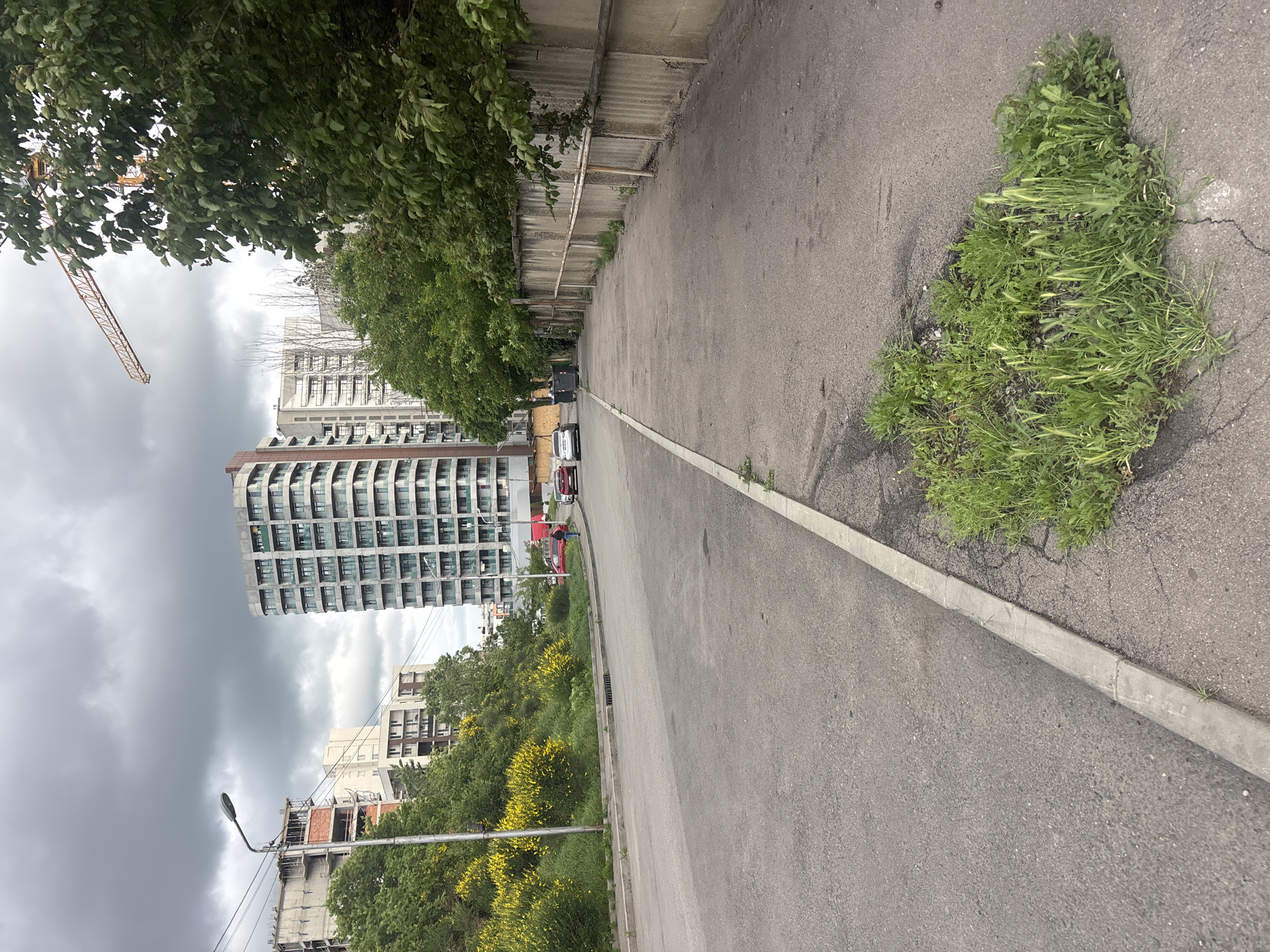 The image captures a street scene in Tbilisi, Georgia. The view is oriented along a paved road with a concrete curb on the right. The road surface shows signs of wear with patches of green vegetation growing through cracks.
Buildings of varying heights are visible in the background, including a modern high-rise apartment building with many balconies and a crane. A grey sky overhead suggests overcast weather. Trees with green foliage are present along the side of the road and also lining a fenced area. Several cars are parked along the side of the road in the distance. In the foreground, the scene is devoid of people.