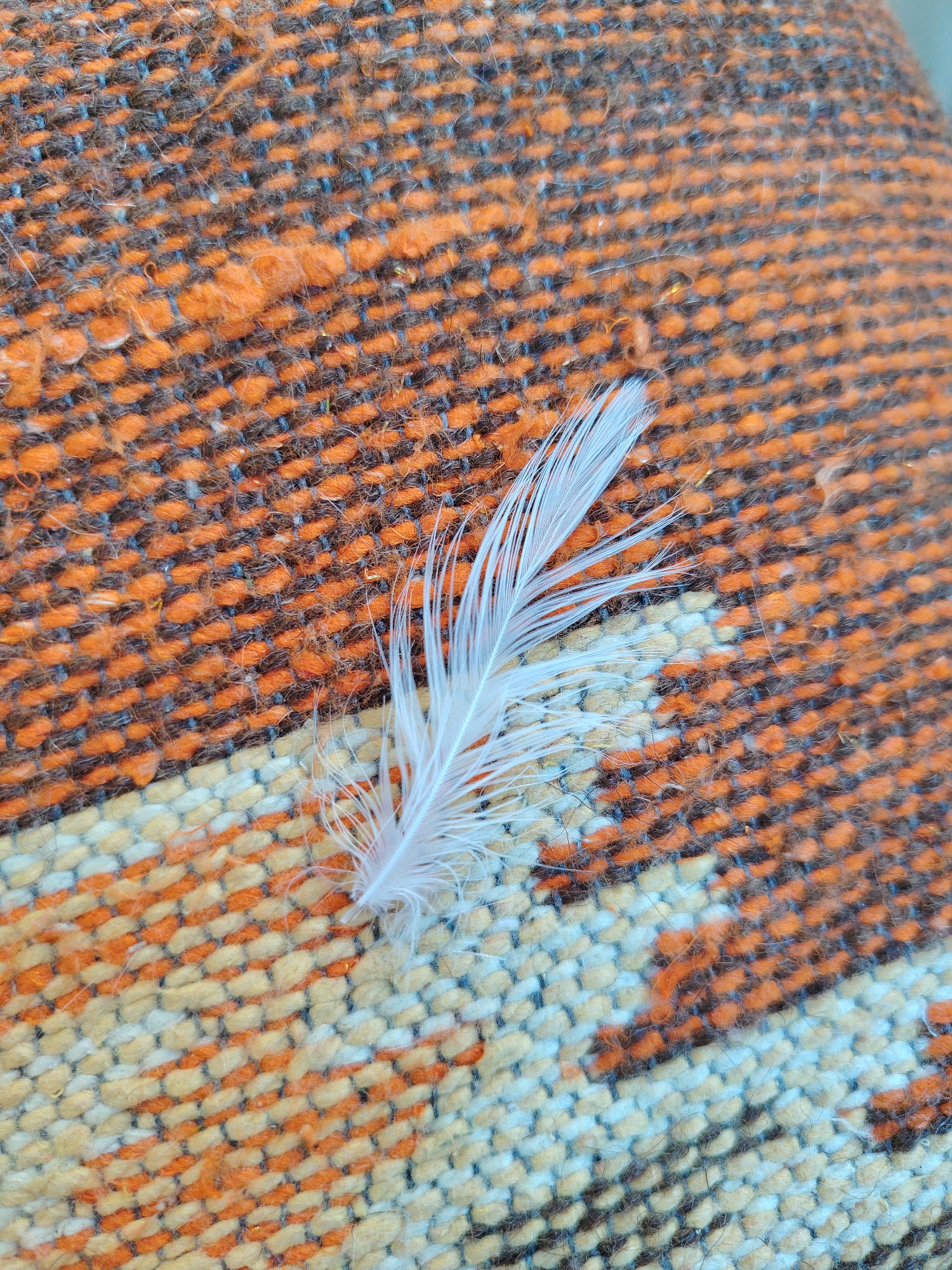 A close-up, high-angle shot shows a white feather lying on a woven surface. The surface is predominantly orange with interwoven threads of black and yellow. The feather is delicate and light, with fine barbs that extend outwards. The texture of the weave is clearly visible, with individual threads creating a patterned effect. The lighting is even, highlighting the textures of both the feather and the fabric. The scene is indoors, with no specific identifiable landmarks of Konyaaltı, Turkey.