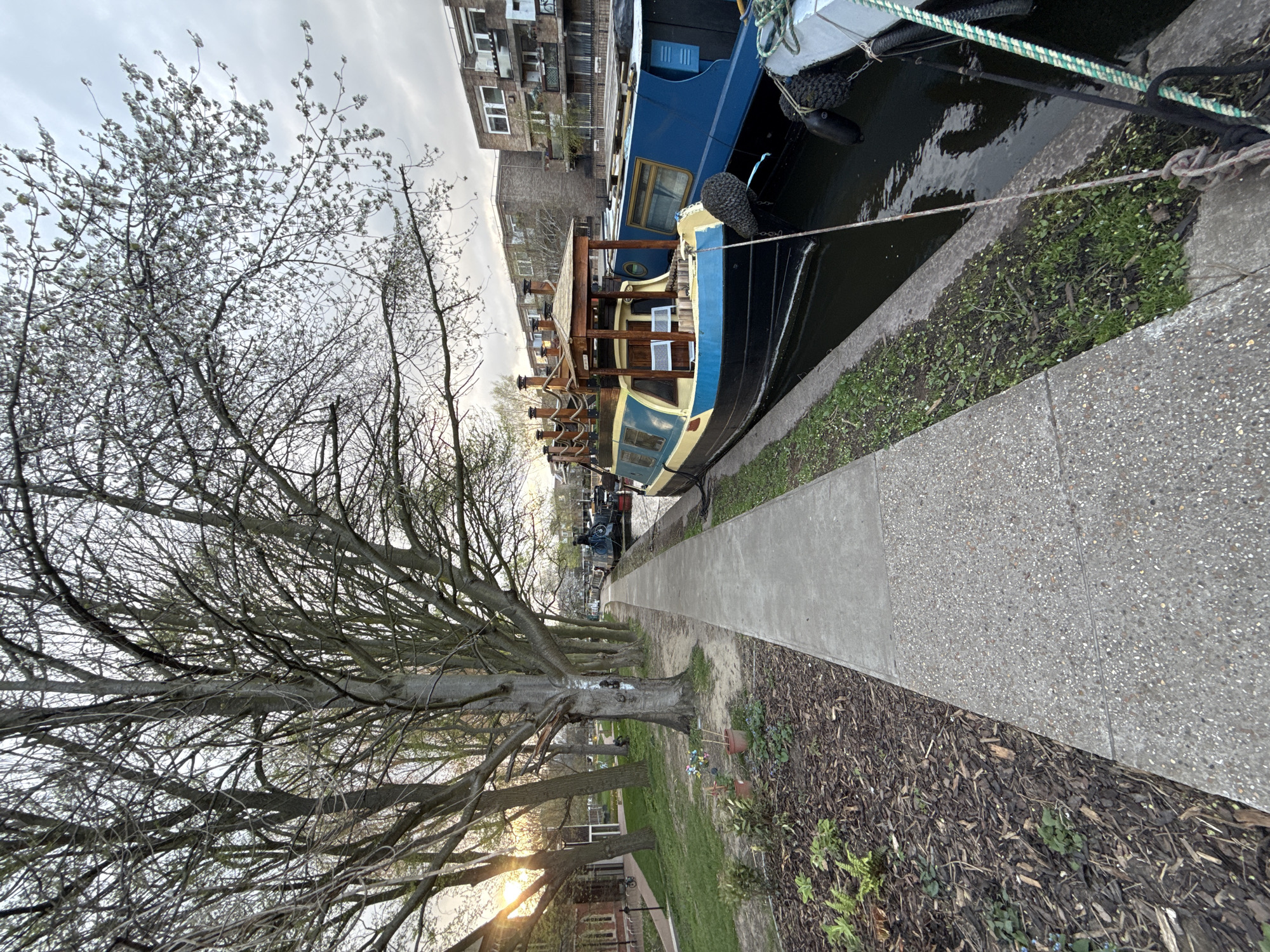 The image depicts a canal in London, United Kingdom. Two canal boats are moored along the towpath. A row of trees lines the walkway beside the canal. The sun shines low on the horizon, partially obscured by tree branches. Buildings are visible in the background. The towpath consists of concrete slabs and a strip of mulch.