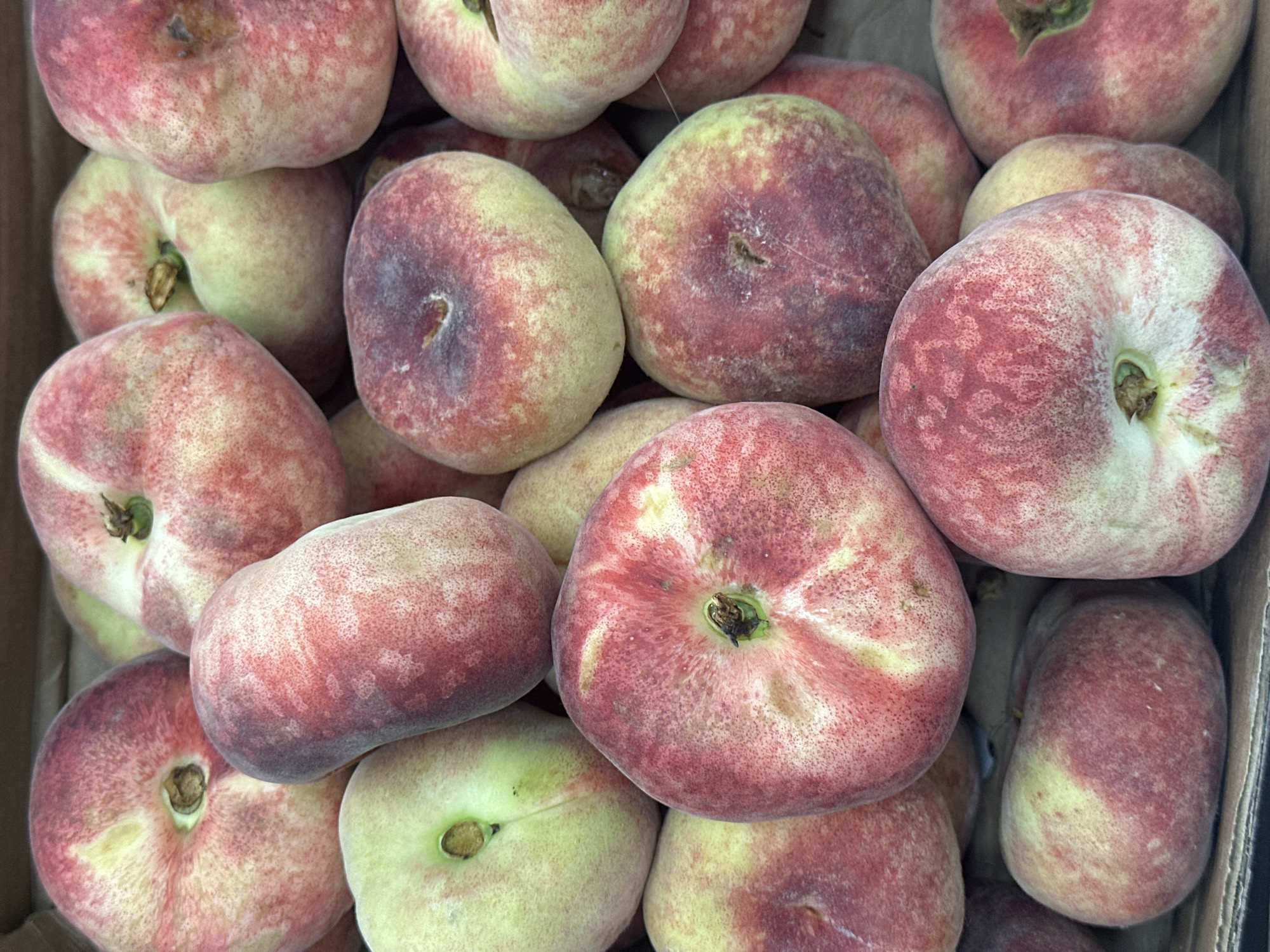 A high-angle, close-up shot displays a collection of flat peaches, also known as donut peaches or Saturn peaches, filling a container, possibly a cardboard box. The peaches exhibit a pale yellow base color with a mottled pattern of red and pink hues distributed across their surfaces. Several of the peaches show the circular indentation where the stem was attached, some still retaining small fragments of the stem. The surfaces of the peaches have a velvety texture. The environment around the peaches is indistinct, suggesting an indoor setting.