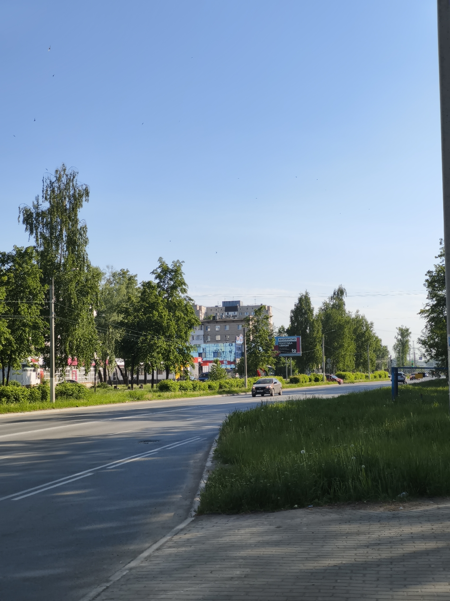 The image depicts a street in Chaikovsky, Russia, with a two-lane road curving slightly to the right. A car is driving on the left lane. The road is marked with double white lines. On the left side of the road, there are trees and shrubs, some street lights, and a building with colorful murals and advertisements is visible behind the trees. A billboard is on the right side of the road. On the right side of the road, there is a grassy area and a sidewalk. A pole is at the right side of the image. The sky is blue and clear.