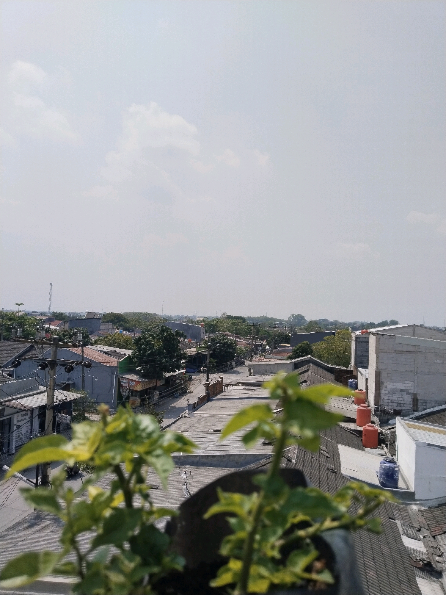 The image depicts a daytime, wide-angle view of a residential area, likely in Jalenjaya, Indonesia, from an elevated perspective, possibly a rooftop. In the foreground, a potted plant with green leaves is out of focus, obscuring a portion of the scene below. The middle ground reveals a street lined with buildings of various sizes and architectural styles. Some buildings have corrugated metal roofs, while others are constructed with concrete. Electrical poles and wires are visible along the street, indicating utility infrastructure. Several buildings appear to be shops or small businesses, with signage that is difficult to read. There are multiple water tanks, primarily orange and blue, visible on some rooftops. In the background, more buildings and trees extend towards the horizon, under a hazy, light blue sky with a few scattered clouds. The overall impression is of a densely populated urban or semi-urban environment. No people are clearly discernible in the image.
