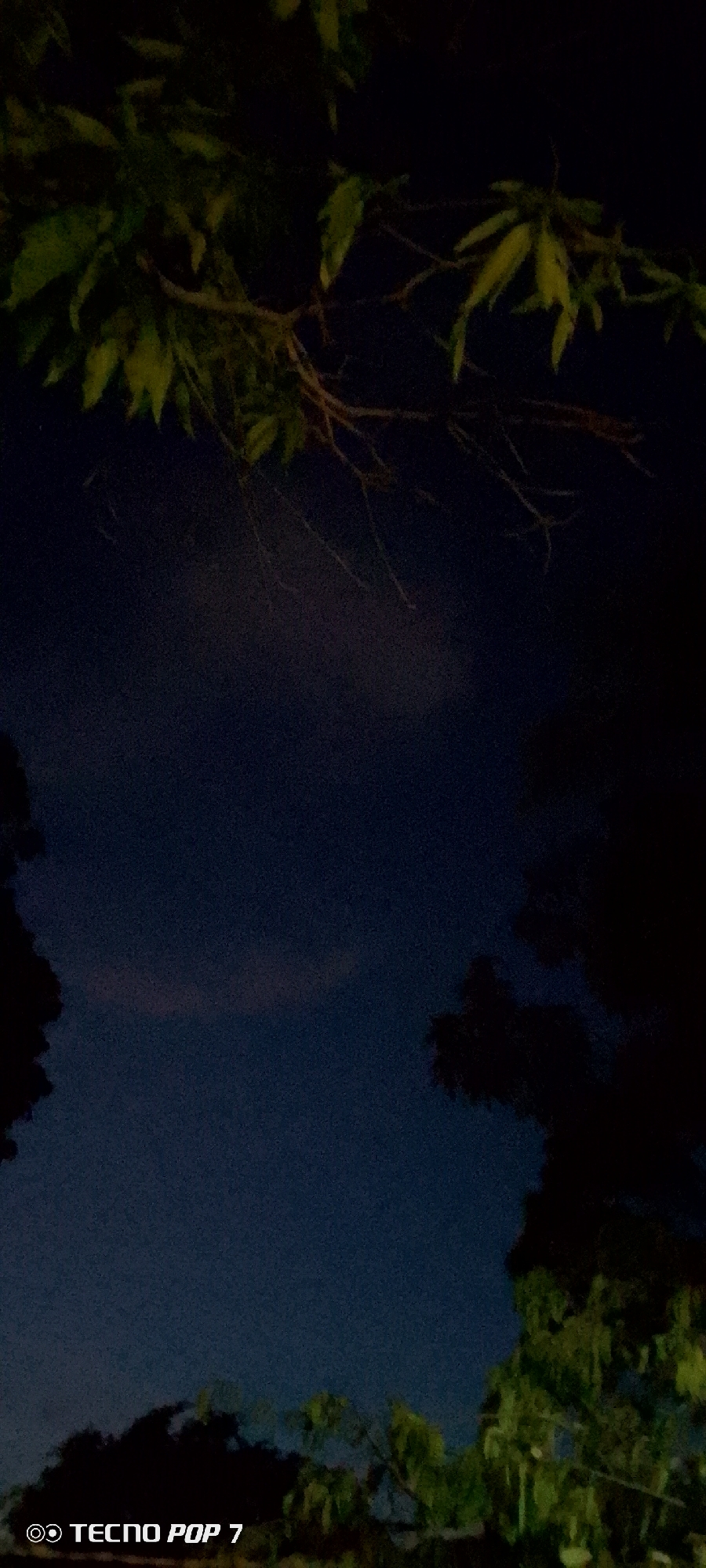 This image captures a dark, nighttime scene featuring silhouetted trees and foliage against a deep blue sky, with a subtle hint of pinkish light suggesting twilight or distant artificial illumination. The upper portion of the image shows branches and leaves of trees, illuminated by an unseen light source, casting them in shades of green and brown. The sky is predominantly dark, with a faint, wispy cloud formation visible in the middle section. The lower part of the image reveals more dark tree silhouettes, with some leaves catching light and appearing green. In the bottom left corner, a watermark reads "TECNO POP 7". The overall impression is one of a natural setting at night, possibly a park or a residential area with trees, in Altagracia, Venezuela.