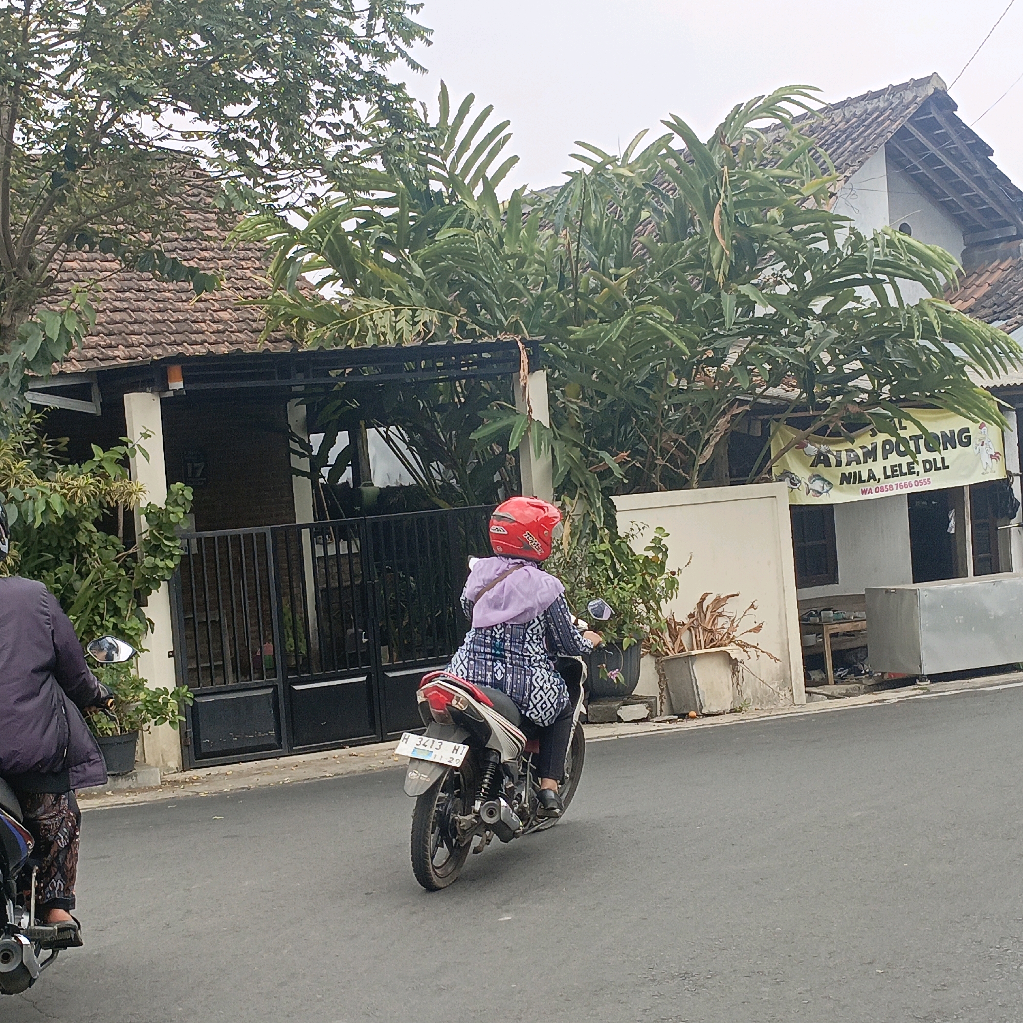 The image captures a street scene in Salatiga, Indonesia, on a cloudy day. In the foreground, a person wearing a red helmet and a patterned outfit is riding a motorcycle. The motorcycle is white and silver with a red tail light and a license plate that reads "H 3413 HJ 11 20". The rider is wearing a purple headscarf and dark pants. To the left of the motorcycle, another person is partially visible, wearing a dark jacket and patterned pants, also on a motorcycle.
The background features houses with tiled roofs and fences. Lush green foliage, including palm-like leaves and other trees, frames the houses. A banner hangs on one of the houses, displaying text that appears to advertise food items like "AYAM POTONG" (cut chicken), "NILA, LELE, DLL" (tilapia, catfish, etc.), and a phone number. The street is paved and appears to be an ordinary residential road. The overall impression is one of a typical day in a residential area of Salatiga.