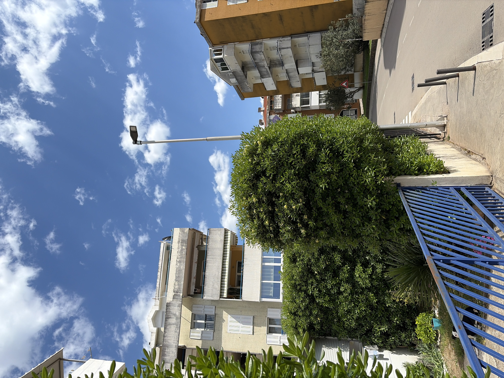The image depicts an urban scene in Budva, Montenegro, under a blue sky with scattered white clouds. The perspective is from a low angle, looking upwards. A street with a sidewalk is visible on the right side of the frame, featuring metal bollards. Two buildings are partially visible: one with a yellow facade and balconies, and another with a beige facade and a mix of windows and shutters. A large, round bush dominates the center of the image. A blue metal gate stands in the foreground on the right. A light pole extends from the ground towards the sky on the left. The image suggests a residential area with trees and landscaping near the road.