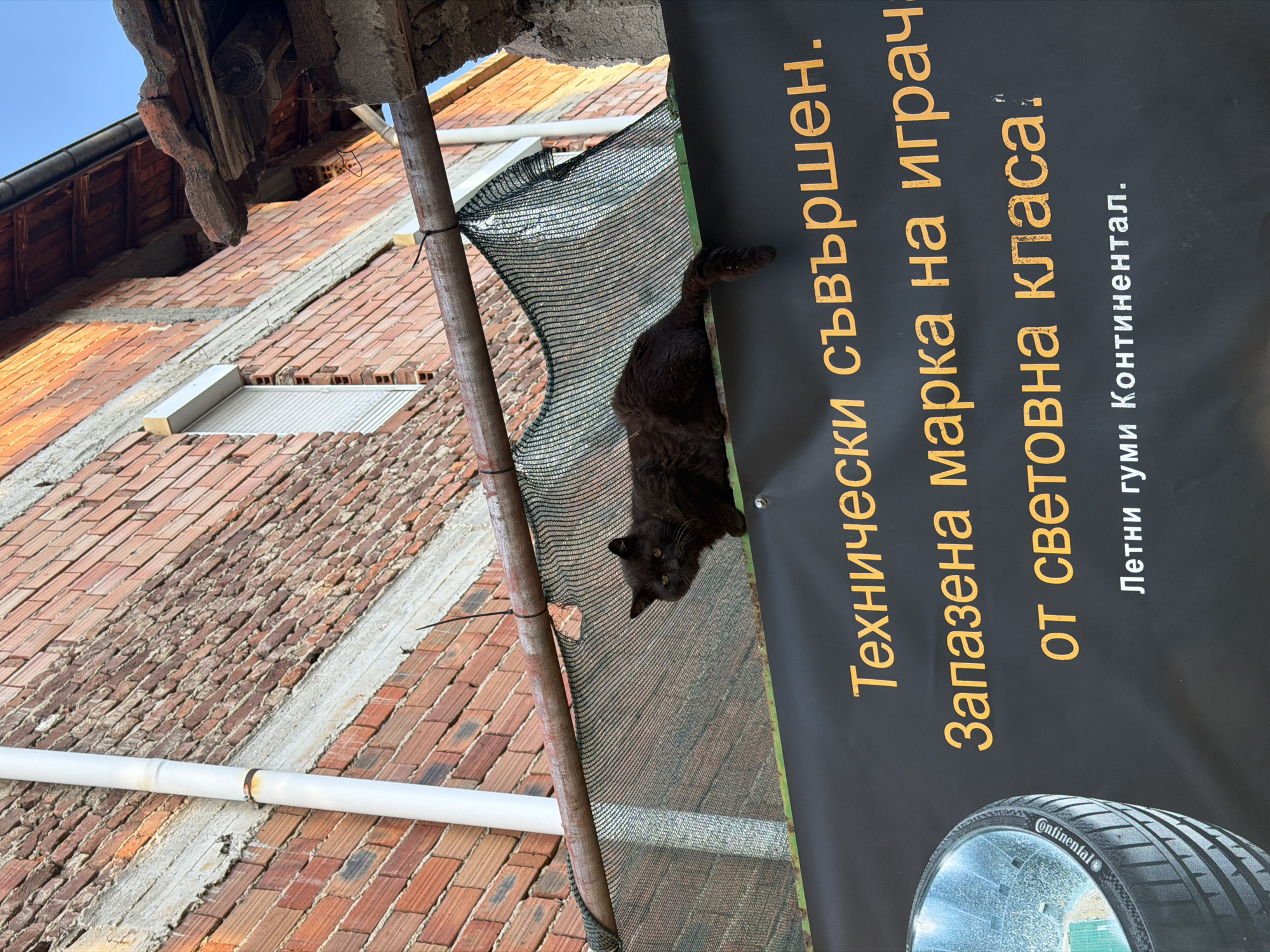 A black cat is perched on a dark banner stretched across a brick building. The banner displays text in yellow font. In the background, the building is constructed with red brick and has a white pipe running vertically. The sky is visible above, suggesting an outdoor setting. The location is Pazardzhik, Bulgaria.