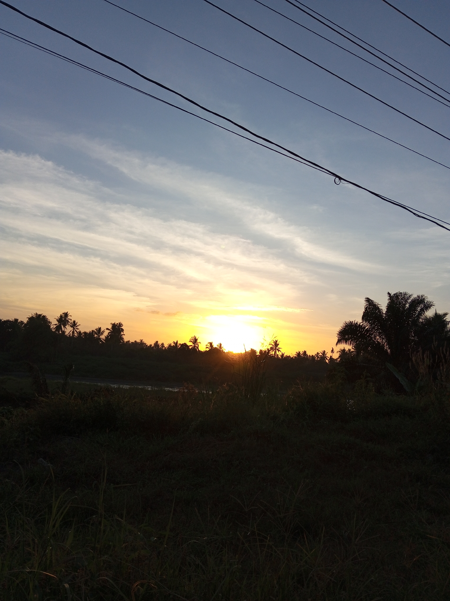The image depicts a sunset in Blang Mee, Indonesia. The sun is setting behind a line of trees, mostly palms, casting a golden and orange glow in the sky. The sky transitions from light blue to orange and yellow near the horizon. There are power lines in the upper portion of the image. The foreground is dark with overgrown vegetation. There is a hint of a body of water behind the vegetation.