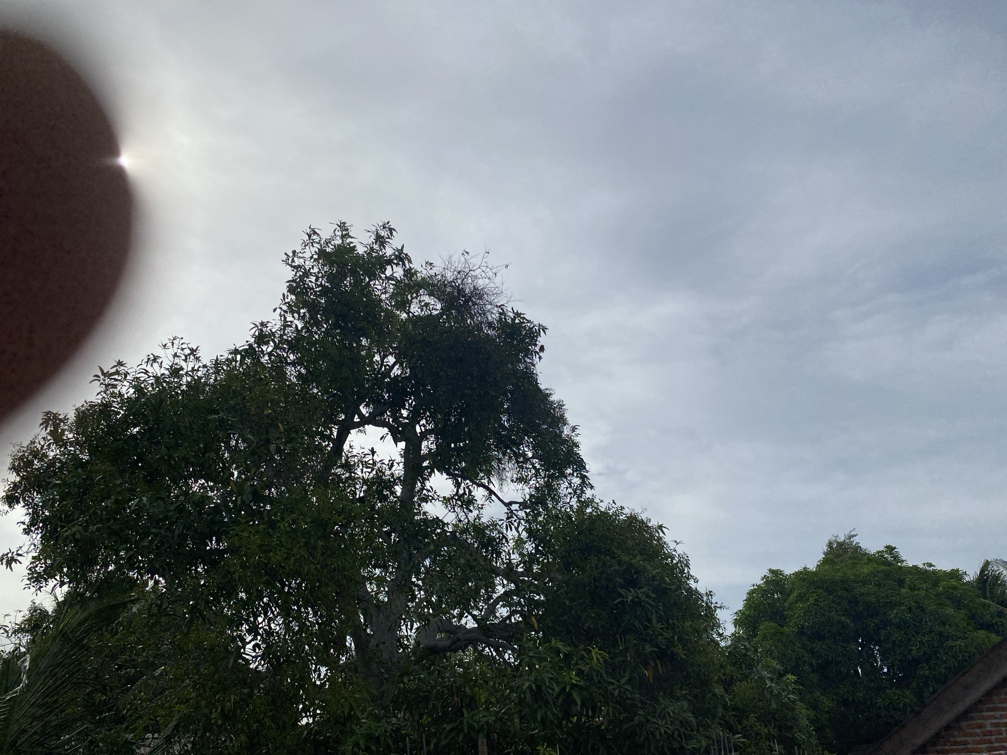 A photograph taken from a low angle looking up at a cloudy sky, with the tops of trees visible. The sun is partially obscured by a large, out-of-focus object in the upper left corner, possibly a finger or hand, casting a bright glare. The trees are dense and green, with some bare branches visible. The sky is overcast with wispy clouds. Part of a brick building is visible in the lower right corner.