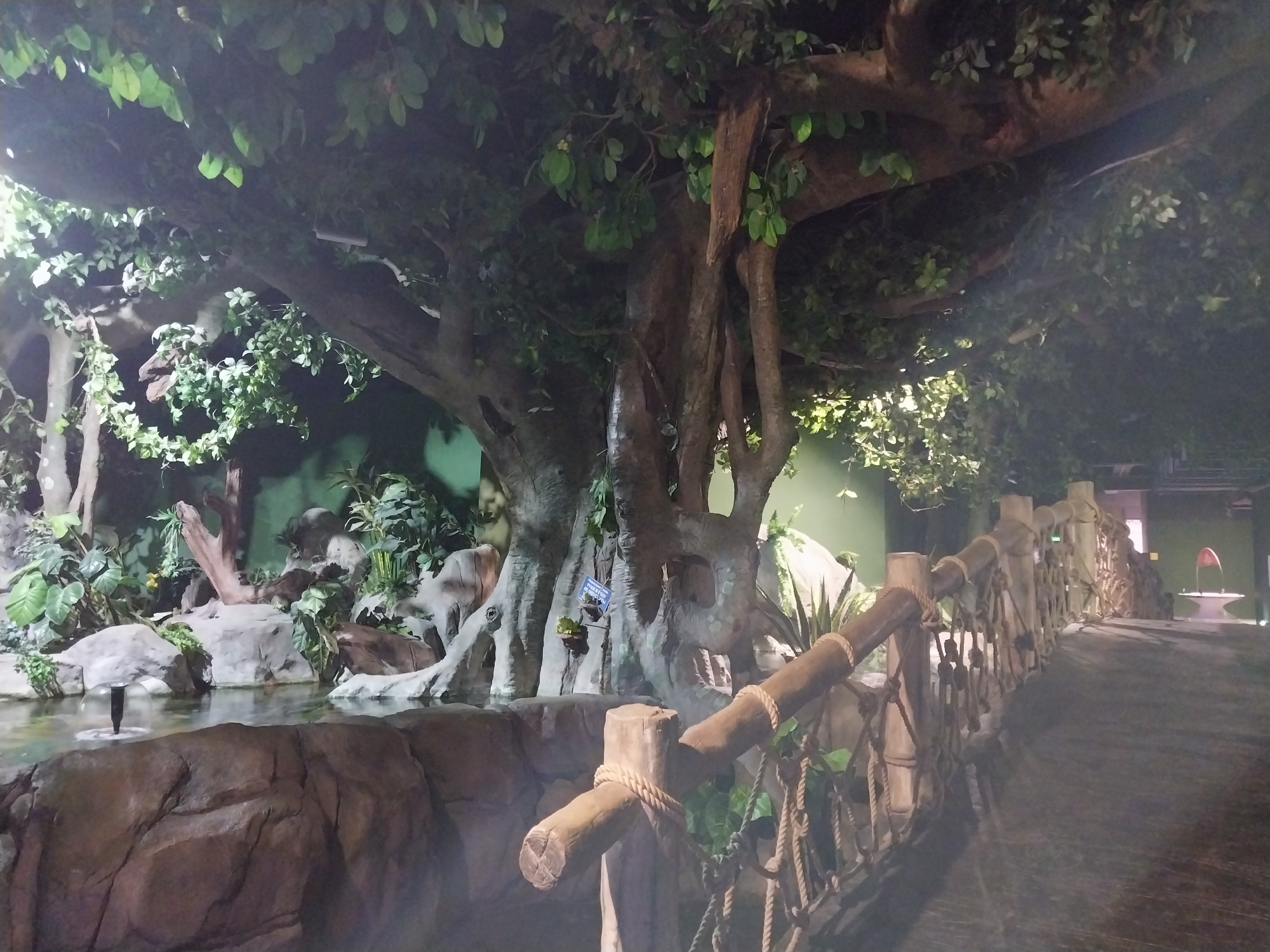 The image depicts a scene within the Sochi Discovery World Aquarium, located in the city of Sochi, Russia. The setting appears to be an artificial environment designed to mimic a rainforest or jungle.
A large, artificial tree dominates the upper portion of the image, with its trunk and branches extending to create a dense canopy of green foliage. Beneath the tree, there is a constructed pond or water feature with rocks and various artificial plants lining the perimeter. A small fountain is visible in the center of the pond.
A wooden bridge with rope railings extends across the foreground of the image. The bridge is made of wooden posts and beams, with rope netting forming the sides. Ivy and other foliage are intertwined within the rope structure.
The overall lighting is subdued, with a mix of natural and artificial light sources creating highlights and shadows throughout the scene.