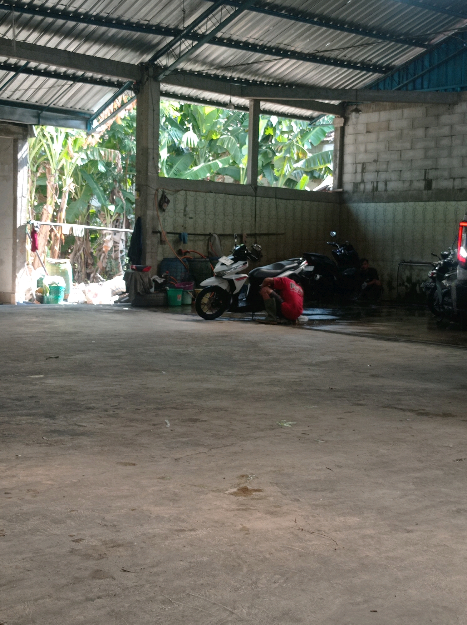 In Kedungmalang, Indonesia, an open-air, covered structure with a corrugated metal roof and concrete floor serves as a makeshift motorcycle wash. Sunlight streams through the open sides, illuminating a scene of activity. Two individuals are present: one, wearing a red shirt, is crouched down, appearing to be cleaning a white motorcycle. The other, in a dark shirt, is also crouched, further back, near a black motorcycle. Several other motorcycles are parked within the structure. Cleaning supplies, including buckets and a tire, are scattered around the area. Lush green vegetation, including banana trees, is visible through the open sides of the structure, suggesting a tropical environment. The concrete floor shows signs of wetness and some debris, consistent with a washing area.