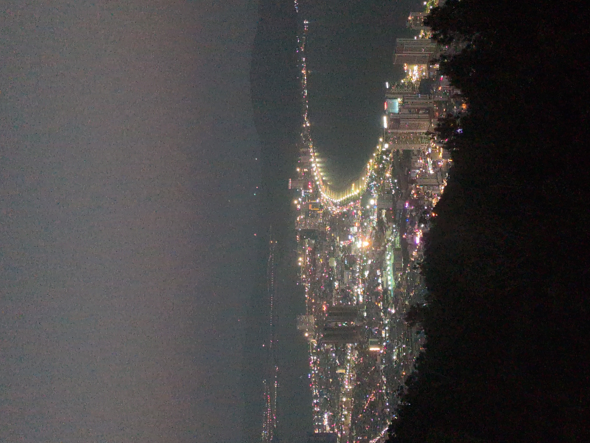 The image presents an elevated, nighttime panoramic view of a coastal city, identified as South Quy Nhon Ward, Vietnam. In the foreground, dark, indistinct tree foliage occupies the lower portion of the frame. The midground showcases a sprawling urban landscape brightly illuminated by artificial lights, extending to a large body of water. Numerous structures, including multi-story buildings and several taller high-rises, are visible within the city grid. A prominent, curved coastline defines the city's edge against the dark water, marked by a continuous, bright line of lights along a promenade or roadway. The water body, likely a bay, is dark but reflects ambient city illumination. In the background, dark, silhouetted landmasses, consistent with mountains or hills, are visible across the bay, with faint scattered lights indicating distant development or infrastructure. The sky above is dark, signifying nighttime conditions. No individuals or specific actions are discernible.