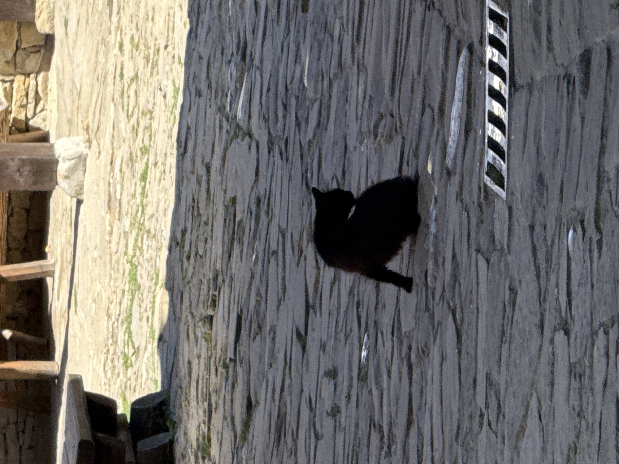 A black cat is sitting on a cobblestone ground in what appears to be an outdoor courtyard. The cat is facing away from the camera, with its head turned to the left. The ground is made of irregular cobblestones, some of which are wet, reflecting light. In the background, there are stone walls and wooden pillars, suggesting an old building or ruin. A metal grate with a diagonal striped pattern is visible on the ground to the right of the cat. The lighting suggests it is daytime, with strong shadows cast by an unseen object to the left. There are no people visible in the image. The location is described as Charkovo, Bulgaria.