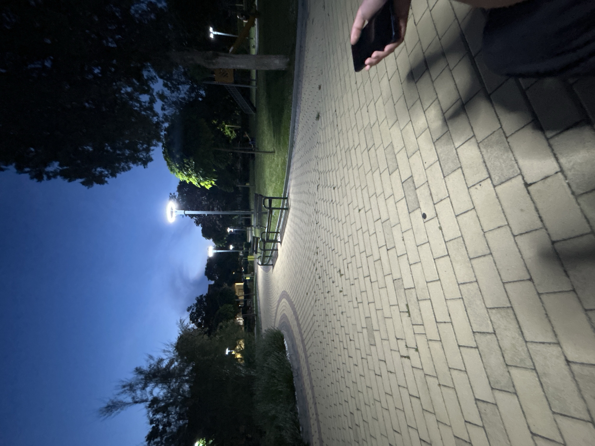 The image presents an outdoor park scene captured at twilight or night in Dzhebel, Bulgaria. The sky above is a deep blue, exhibiting faint cloud formations, particularly towards the right side. Multiple streetlights with bright, white illumination are active throughout the park, casting distinct light and shadow patterns.
In the foreground and midground, a wide, curving paved pathway is visible, constructed from light-colored rectangular pavers. A darker accent strip borders the inner curve of this path. Small patches of green vegetation, possibly weeds, are present between some of the pavers.
To the left of the path, a dense low bush and several trees with dark foliage are present. Further into the park, more trees line the path and surround grassy areas. Several dark-colored park benches are situated along the path's edge and within the grassy areas. In the right midground, a wooden playground structure, including a slide, is partially discernible amidst the trees.
In the lower right corner of the foreground, the right hand of an individual is visible, holding a dark-colored smartphone. The screen of the phone is facing away from the camera. The person appears to be wearing dark pants or shorts, and their shadow is cast onto the paved ground to their left.