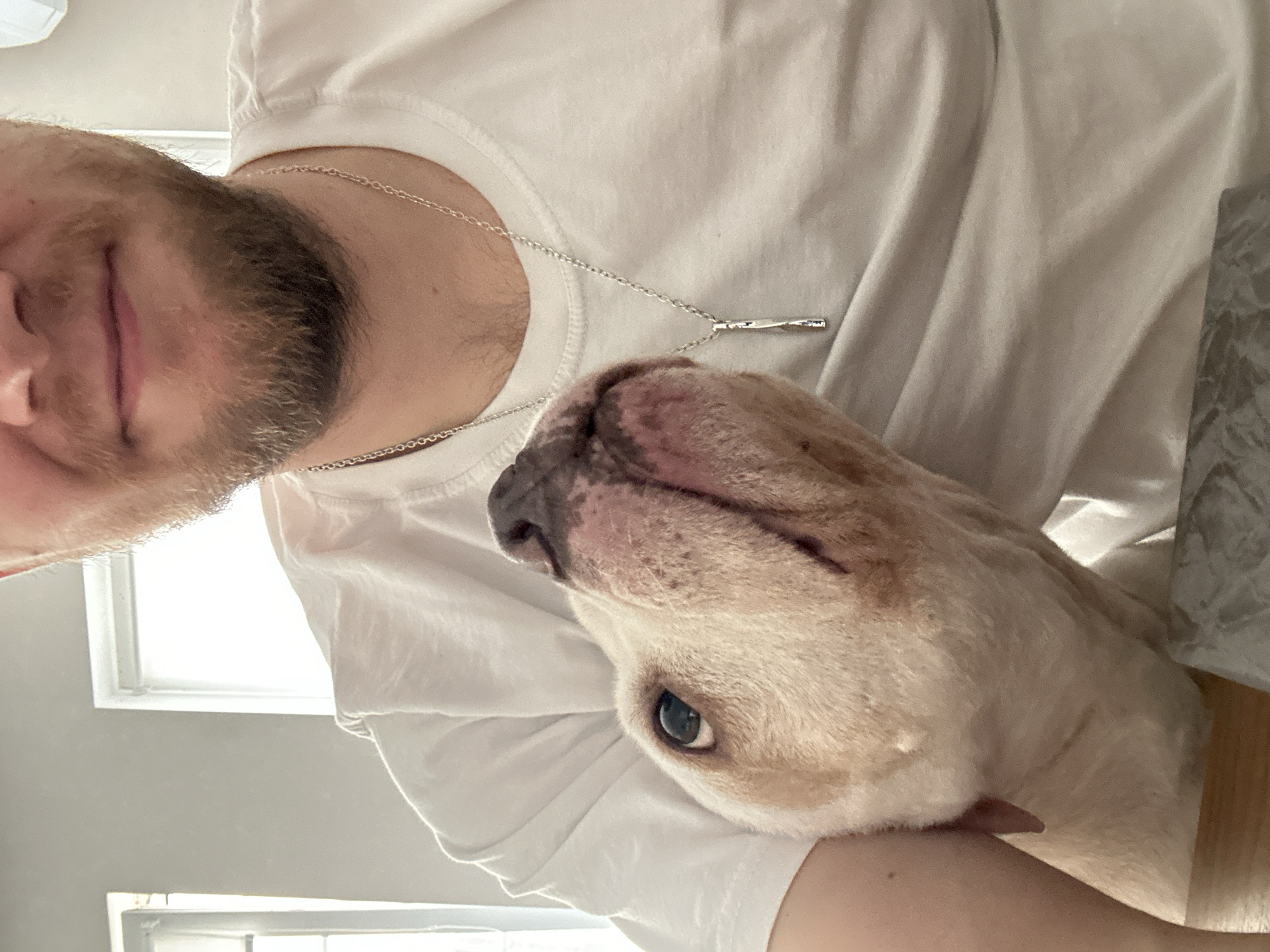 A man with a beard and a white T-shirt is holding a light-colored bulldog. The dog is looking upwards, with one eye visible. The man is also looking towards the dog. A silver necklace hangs on the man's chest. A window can be seen in the background, and a table edge is visible on the right. The location is not determined in this image.