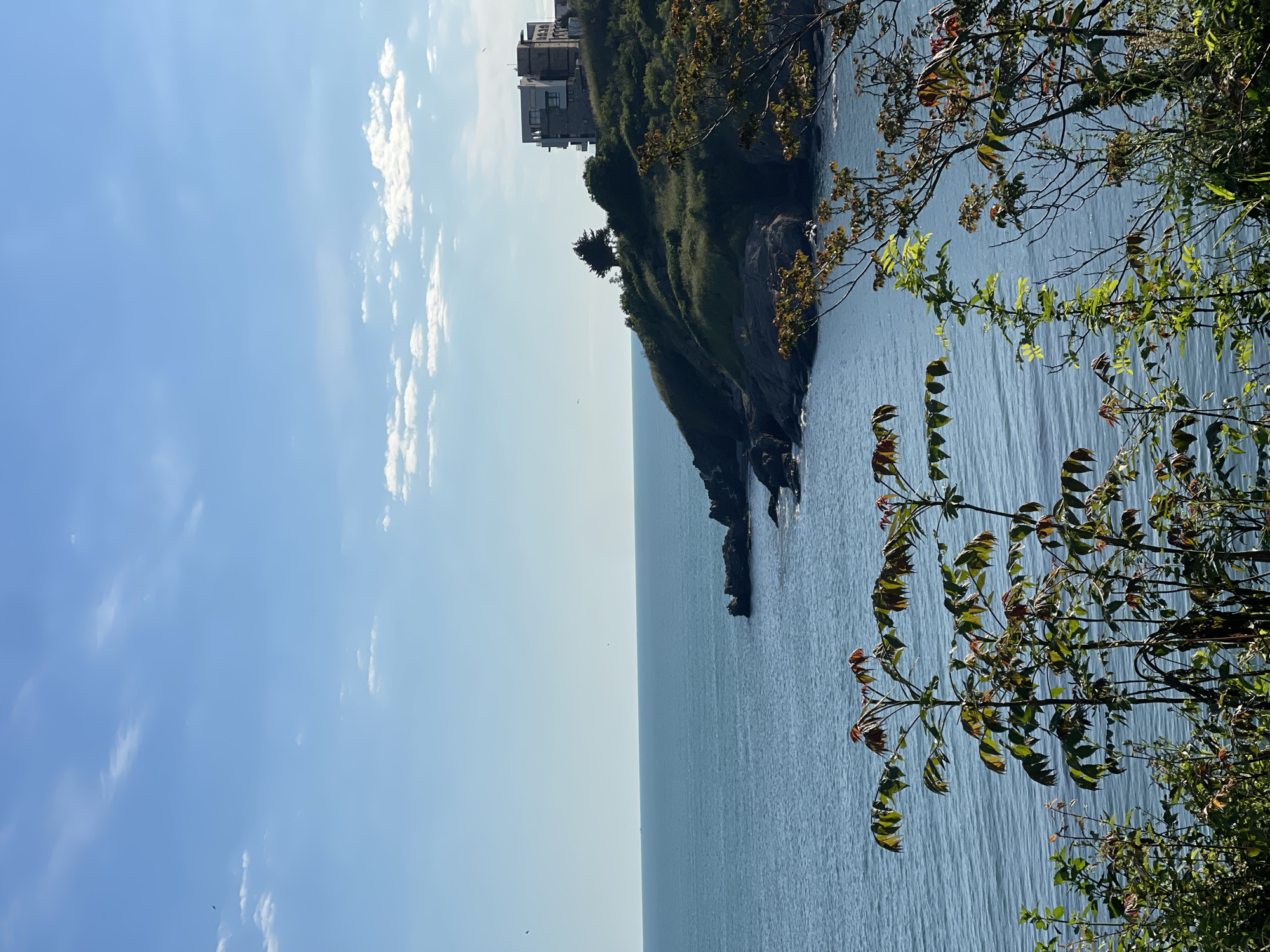 The image captures a scenic view in Sozopol, Bulgaria. It features a cliff with green vegetation and a building on top, overlooking the sea. The sky is blue with scattered white clouds. Tree branches with leaves are visible on the right side of the frame. The sea is calm with a light blue hue. The photograph appears to be taken during the daytime with clear weather.