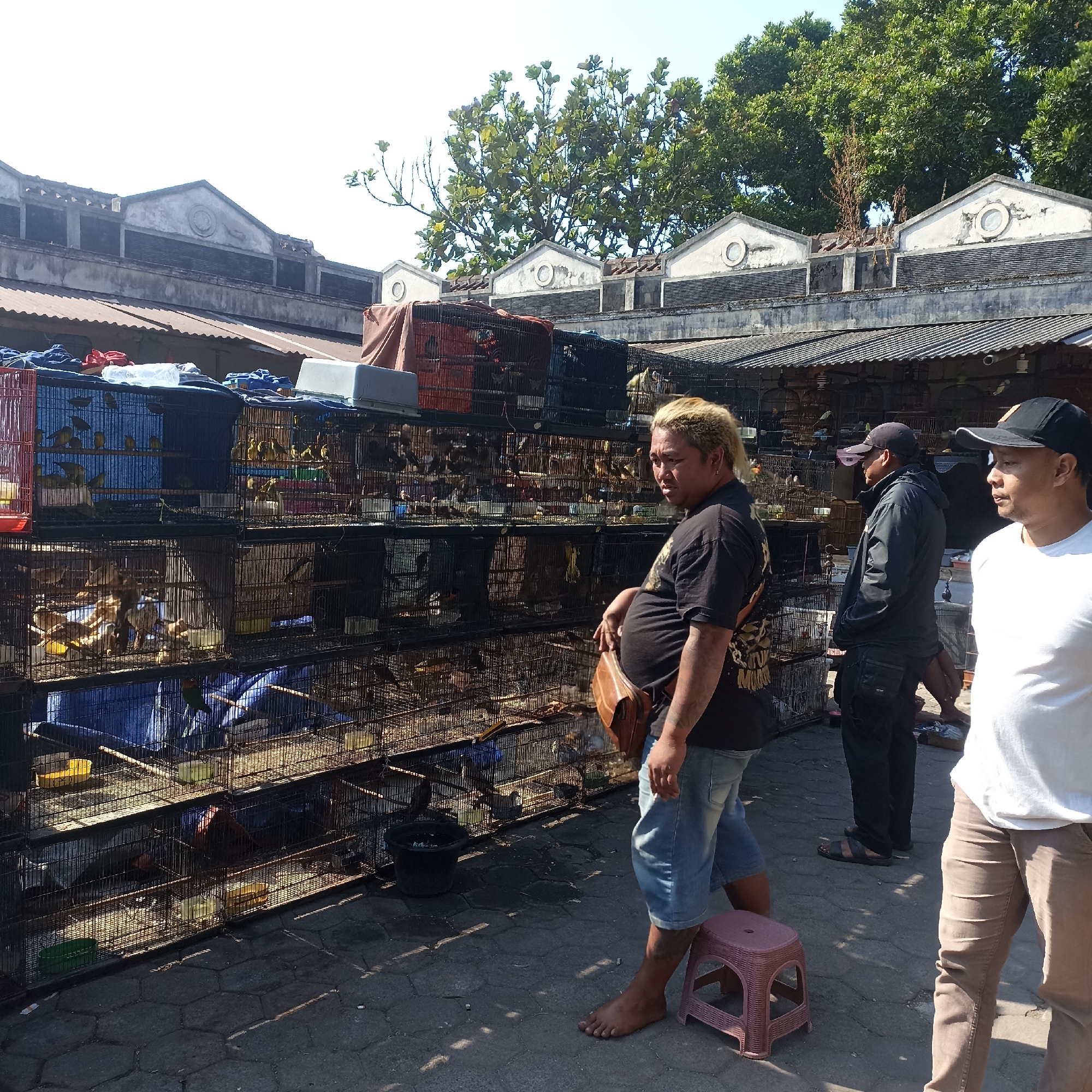 Three men stand in front of a bird market in Magelang, Indonesia, under a bright, clear sky. The market features rows of metal cages stacked high, filled with various birds, and many are covered with tarps or sheets. The architecture behind the market consists of buildings with gable roofs and decorative elements. The man on the left has blonde, spiked hair and is wearing a black t-shirt and denim shorts, with a brown bag slung over his shoulder. He appears to be looking to his right. In the middle, a man in a black jacket and dark pants stands with his back slightly turned. To the right, a man in a white t-shirt and khaki pants faces left, looking towards the market. The ground is paved with hexagonal stones. A small pink stool sits on the ground in the foreground.