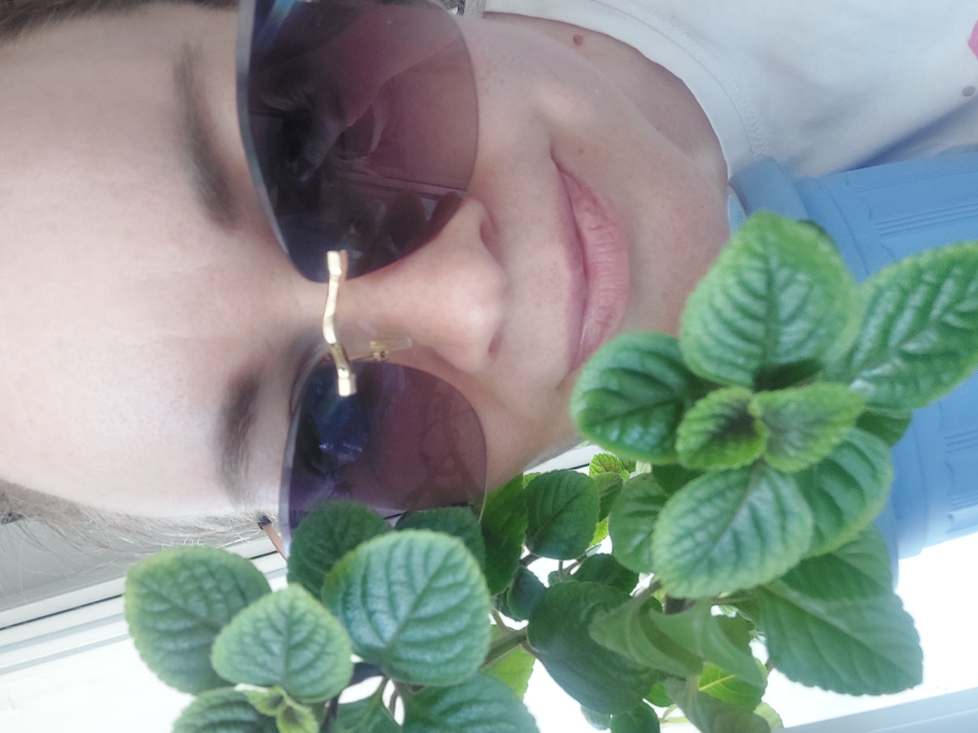 A slightly tilted close-up shot features a person wearing sunglasses, with a green leafy plant in the foreground. The person is partially visible, showing their face from the forehead to the mouth. The sunglasses have gold-colored nose bridge. The plant is green and healthy, with many leaves. The background appears to be indoors with a hint of a window sill. It is not possible to determine the location in Chaikovsky, Russia, from the image alone.