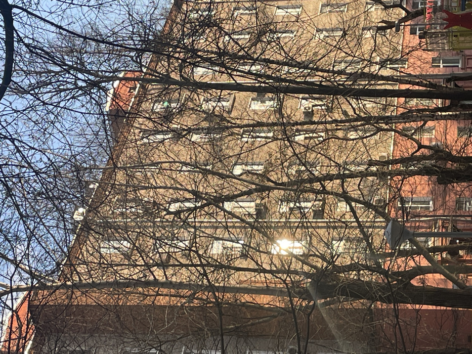The image depicts a multi-story building, likely residential or administrative, viewed through the bare branches of numerous deciduous trees, suggesting a late autumn, winter, or early spring setting. The building's facade is primarily light brown or beige stucco, with a distinct reddish-brown section visible on the lower floors and a portion of a side wall. Multiple uniformly spaced rectangular windows with white frames are present, some reflecting bright, warm sunlight which creates a lens flare in the lower-left-central part of the image. Several white, rectangular external air conditioning units are mounted below various windows on different floors. The building features a flat roof with a visible red parapet or a small structure with a red roof. White satellite dishes or antennas are discernible on the roofline. In the foreground, a grey streetlamp with a flat, conical shade is partially visible in the lower center. Hints of red playground equipment are seen in the lower right, obscured by trees. No individuals or specific actions are visible. The clear, bright blue sky is visible above and through the tree branches. The architectural style is consistent with common residential or administrative buildings found in urban areas of Moscow, Russia. The exact location within Moscow cannot be definitively determined from the provided image.