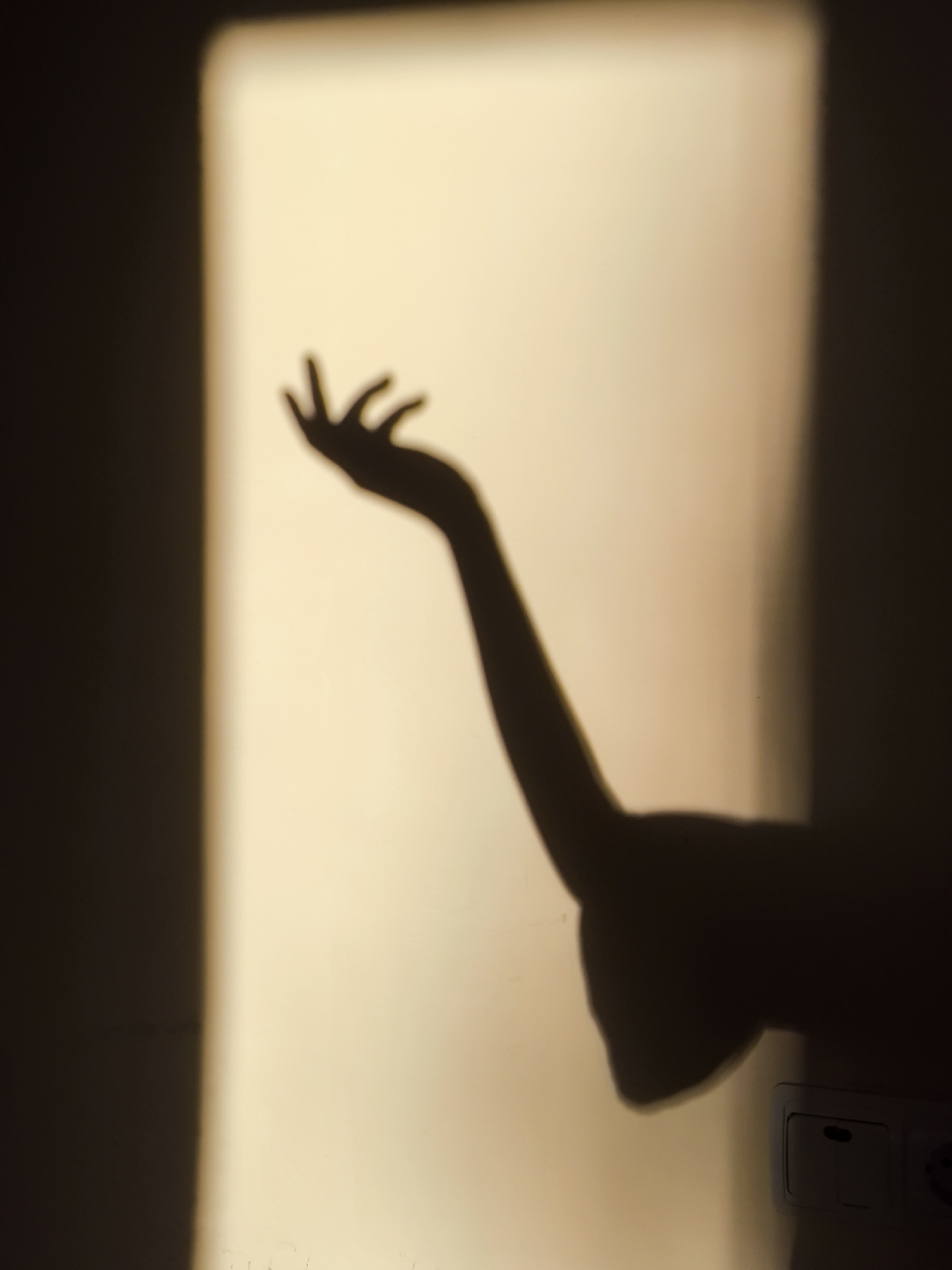 A shadow of an outstretched arm and hand is cast on a wall illuminated by a vertical beam of light. The arm extends from the lower right of the frame upwards and to the left, with the hand open and fingers splayed. The light creates a sharp contrast between the illuminated area and the darker portions of the wall. A light switch and an electrical outlet are visible on the lower right side of the wall, partially in shadow. The scene appears to be indoors.