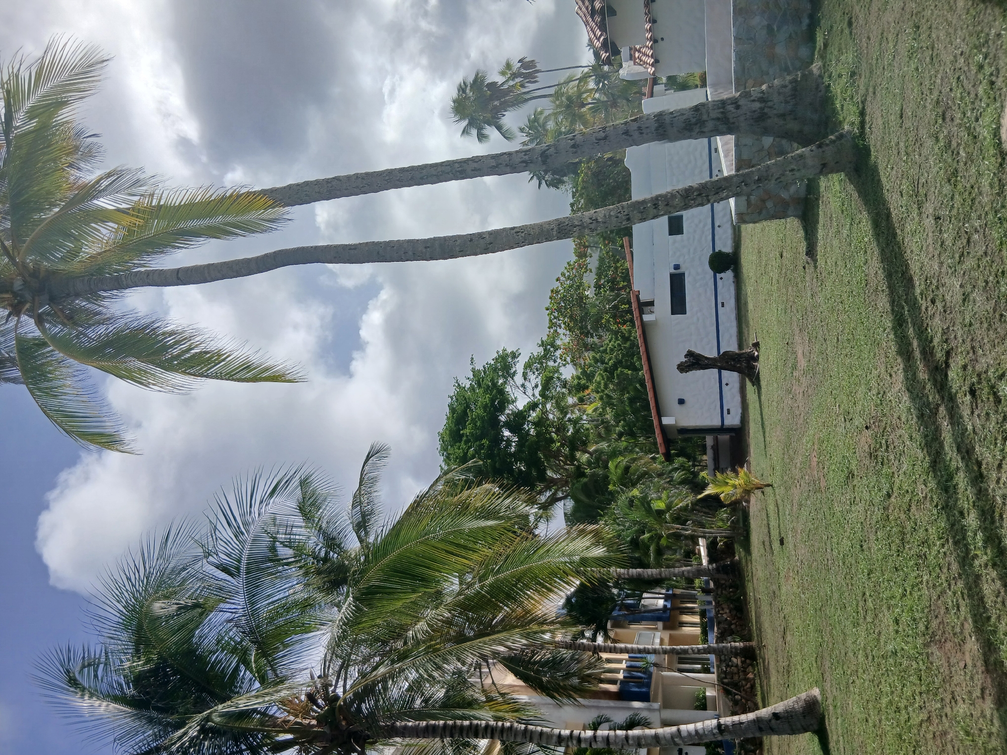 This image depicts a resort area in Playa El Agua, Venezuela, characterized by a tropical, outdoor environment. In the foreground, a manicured lawn with scattered patches of dry grass is visible, with shadows cast by palm trees indicating it is daytime. Two tall, slender palm trees dominate the mid-right of the frame, their trunks textured and their fronds casting further shadows. Behind them, a low, white building with a red-tiled roof and blue trim stands. To the left, a multi-story hotel or resort building with balconies and blue accents is partially visible, bordered by a stone wall. Lush green foliage, including more palm trees and larger trees, fills the background, creating a dense tropical canopy. The sky above is a mix of blue and cloudy, with large, white cumulus clouds scattered across the scene, suggesting a partly cloudy day. The overall atmosphere is serene and suggests a vacation or resort setting.