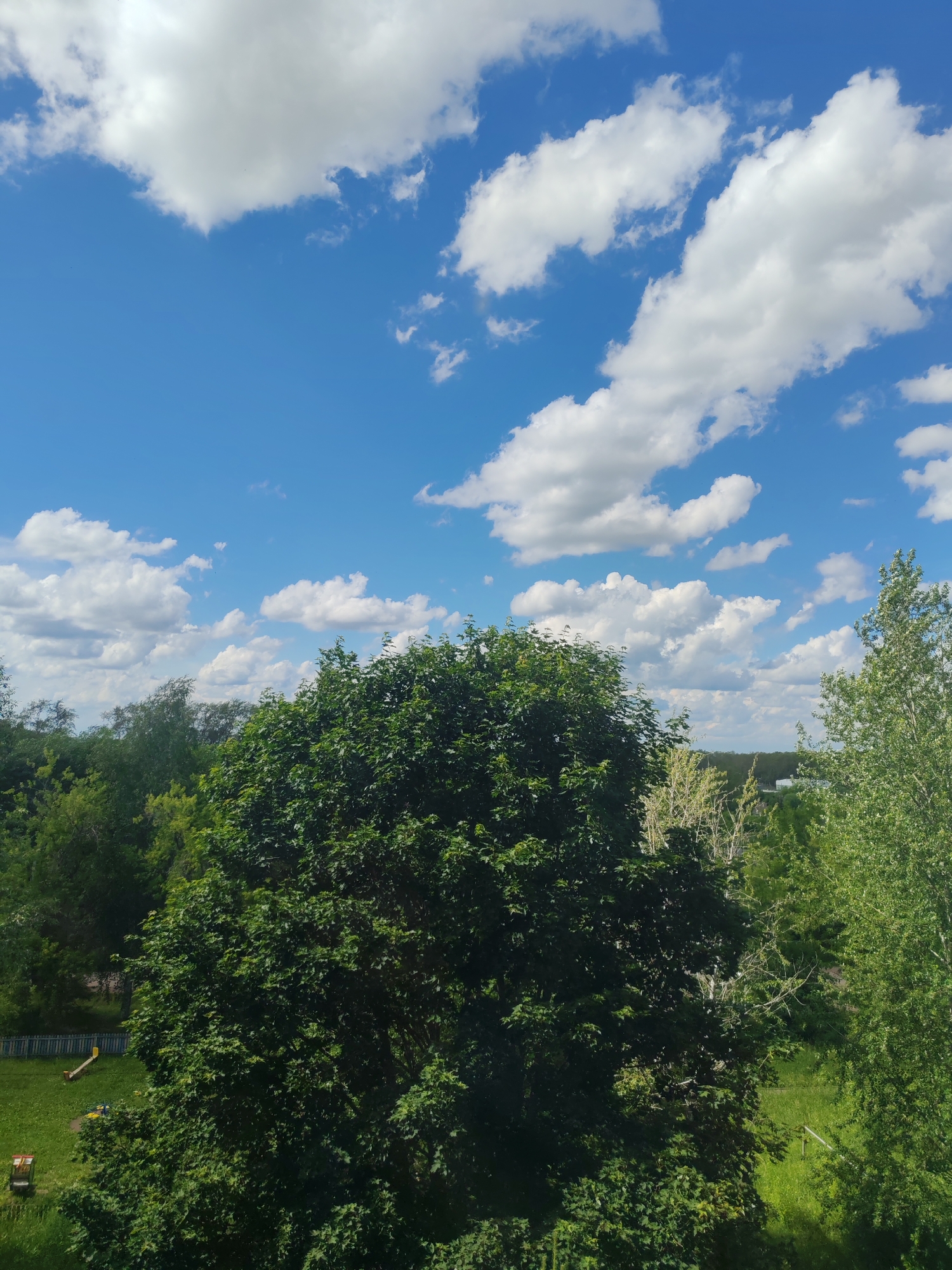 The image shows a view of the sky and treetops in the city of Sokol, Russia. The sky is blue with scattered white cumulus clouds. Below the sky is a dense canopy of green trees, with a lighter green birch tree on the right. In the lower left corner, a small playground area is visible with a wooden fence, a swing set, and what appears to be a small slide. The overall impression is one of a sunny day in a natural setting within an urban environment.