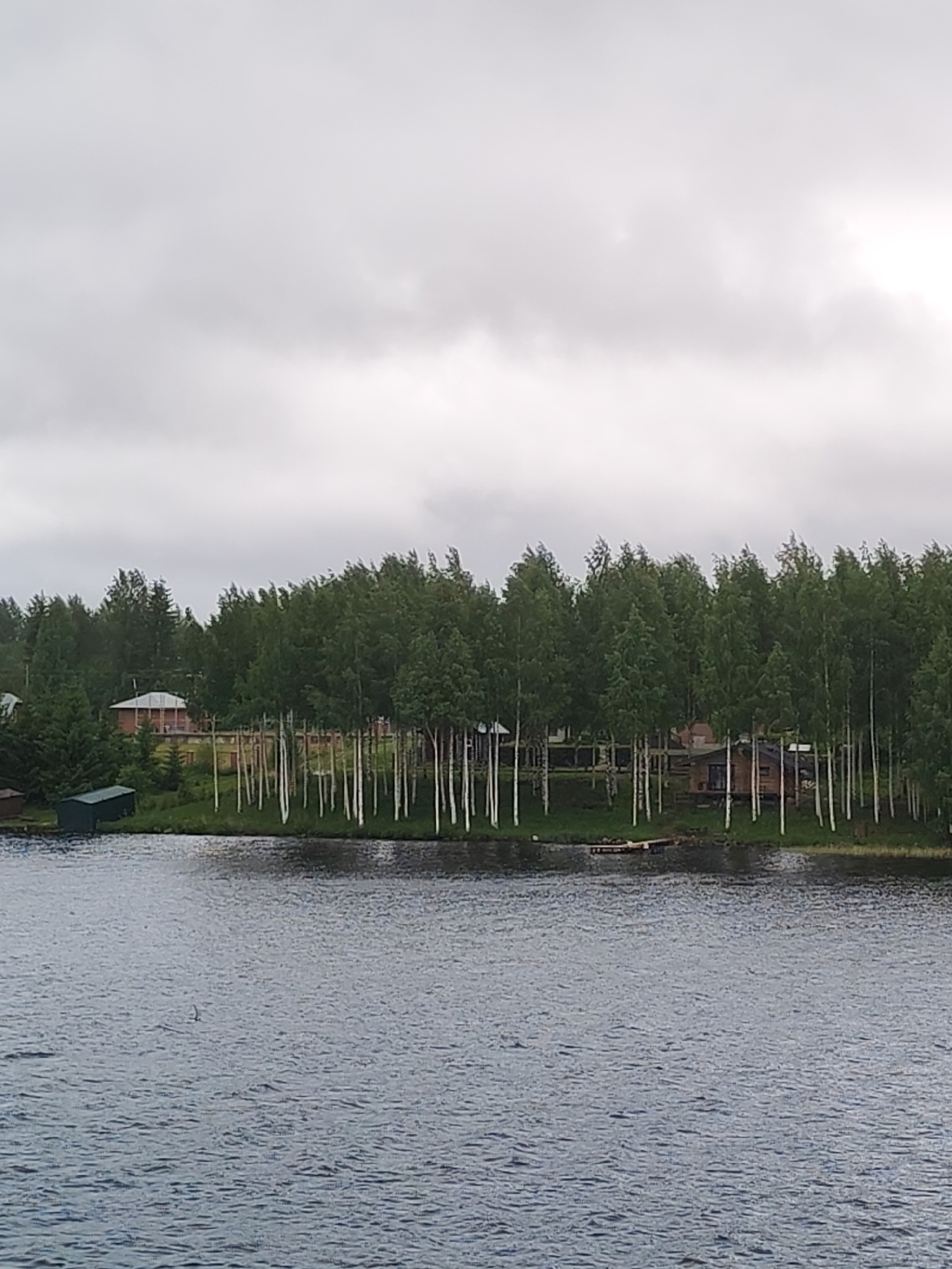 The image shows a waterfront scene, likely in the city of Раменье, Russia. The foreground is dominated by a large body of water, possibly a lake, with moderate ripples on its surface. Along the shoreline, there is a line of trees, mainly birch, characterized by their distinctive white bark. Buildings, including residential structures, are visible behind the trees. The sky is overcast with a uniform gray cloud cover.