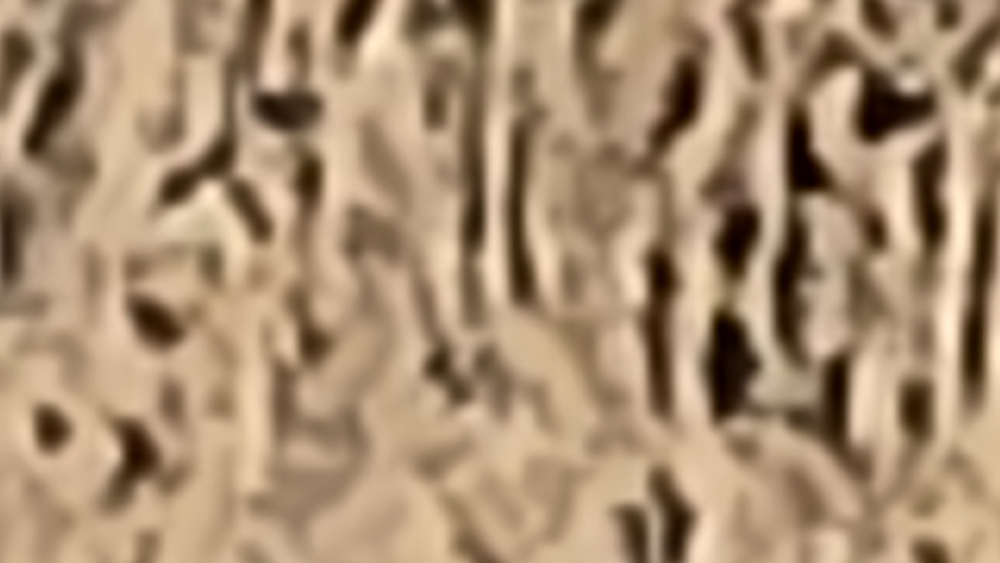 The image shows an abstract close-up of possible termite galleries in wood. Given the prompt mentioning Guardamar del Segura, Spain, the context suggests the wood might be part of a structure there. There are no discernable people or clear objects, the focal point being the irregular, mottled pattern of the termite damage in tan and dark brown.