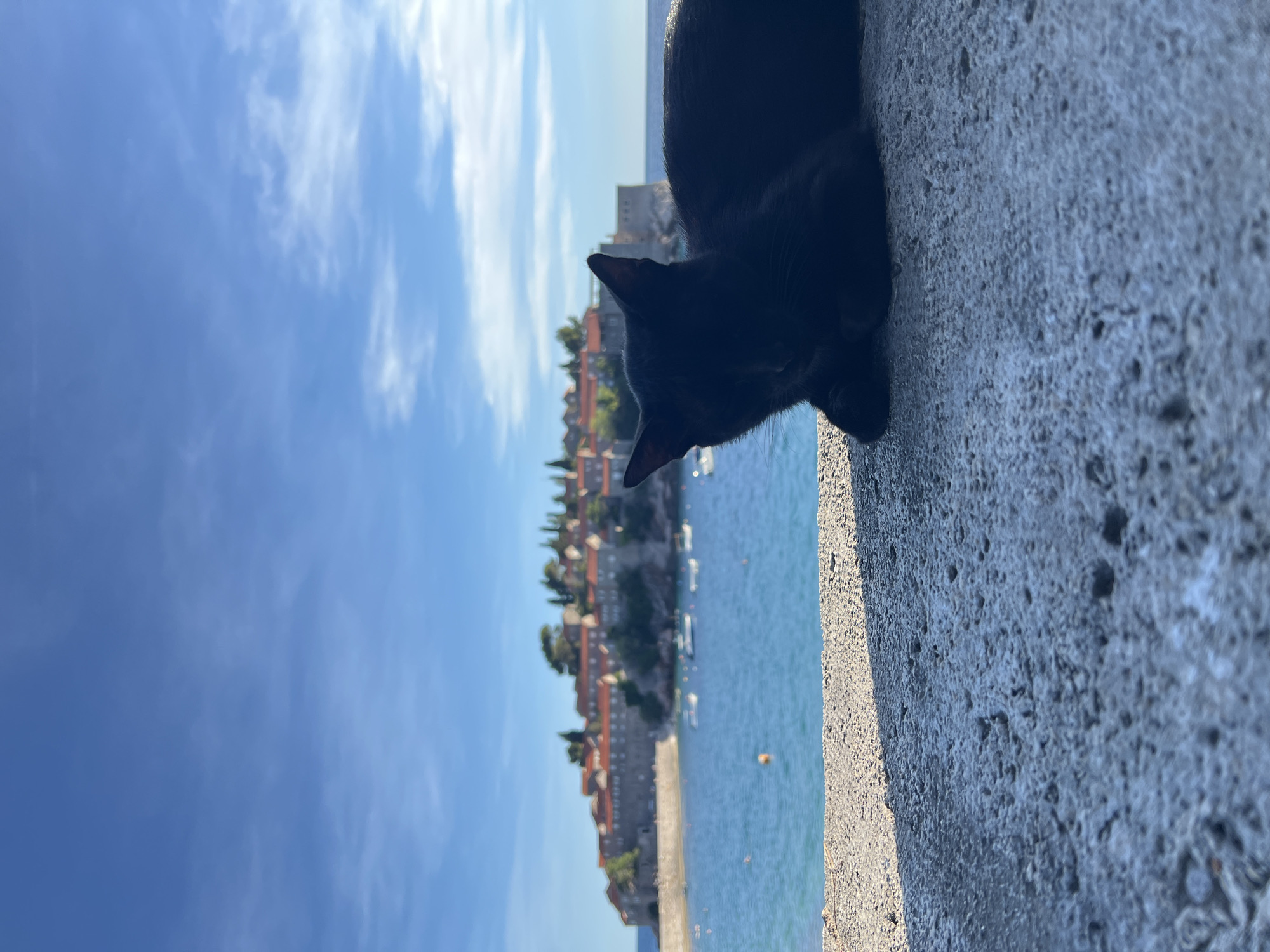 A black cat is lying on a textured concrete surface in the foreground, facing away from the camera. In the background, the island of Sveti Stefan, a historic fortified village in Montenegro, is visible across the blue sea. The island features red-tiled roofs, stone buildings, and lush greenery, with several boats anchored in the water. The sky is clear and blue, with a few wispy clouds. The sunlight casts a shadow on the concrete in the foreground. The scene appears to be a tranquil daytime view of the Adriatic coast.