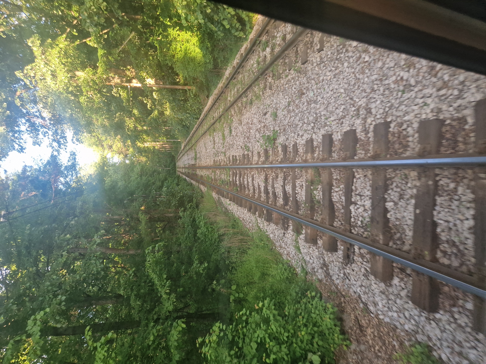 A view from inside a train car shows a railroad track extending straight ahead into the distance. The tracks are surrounded by gravel and wooden railroad ties. Dense green foliage and trees line both sides of the tracks, creating a tunnel-like effect. The light is bright, suggesting a daytime scene. The reflection of the train window frame is visible in the upper right corner of the image. The location is not specified and is labeled as Unknown, Unknown.