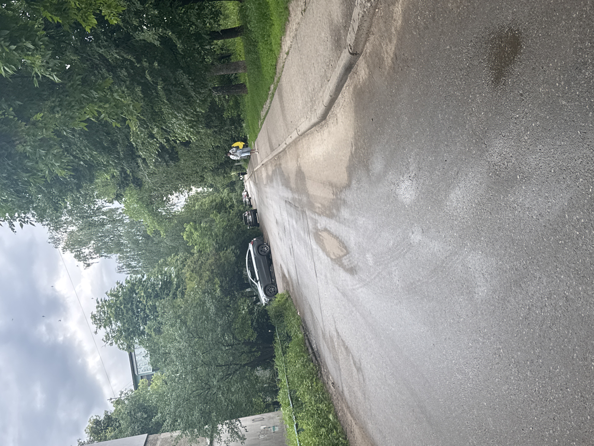 The image displays an outdoor scene, rotated 90 degrees clockwise, depicting a tree-lined street or pathway. The ground is covered by an asphalt road with visible wet patches, suggesting recent rain or standing water, and a concrete sidewalk runs alongside it.
In the mid-ground to background, a single person is visible walking on the sidewalk. They are wearing a light-colored top and carrying or wearing a bright yellow item, possibly a backpack. Several cars are parked along the side of the road, nestled among the trees. One dark-colored car, possibly an SUV or sedan, is parked prominently in the mid-ground.
The scene is heavily dominated by lush green foliage and numerous trees that line both sides of the path, creating a canopy overhead in some sections. The sky is overcast with visible clouds, indicating a cloudy daytime setting. A power line is faintly visible stretching across the upper left portion of the image. Through the trees in the distance on the left side, part of a building with a large glass section can be seen.
No discernible text is visible in the image. The overall impression is that of a quiet, possibly residential, area on an overcast day.