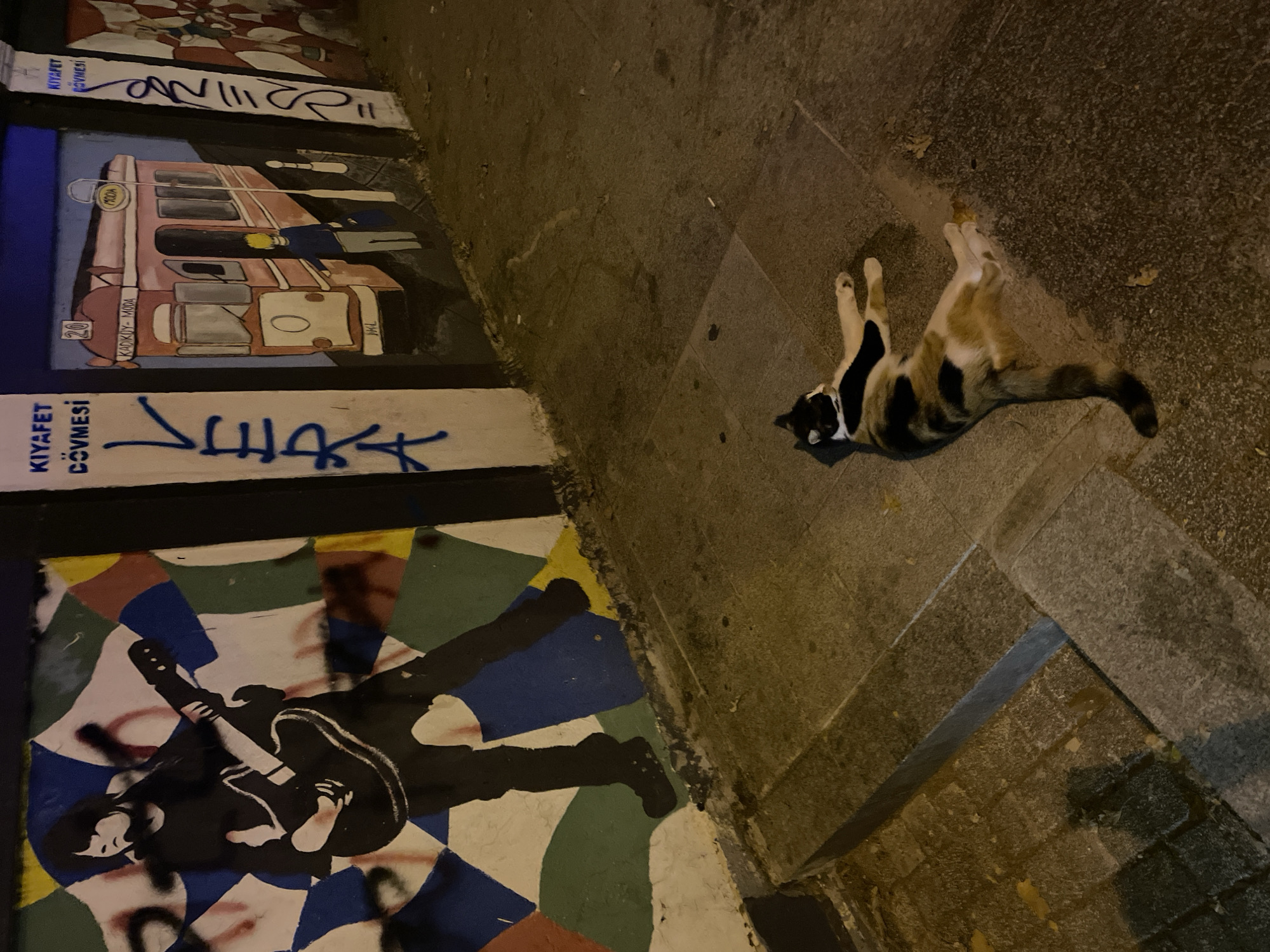 A calico cat lies sprawled on a tiled pavement in front of a mural in Kadıköy, Turkey. The mural features a stylized depiction of a person playing a guitar and a vintage tram with the text "KADIKÖY-MODA" visible. The artwork is on a building wall, with graffiti visible on the white sections of the wall. The scene appears to be at night, with streetlights illuminating the area. The cat is positioned in the lower right portion of the frame, facing left, with its eyes closed. The pavement is made of large, rectangular tiles and there are some fallen leaves scattered around. The wall with the mural is to the left and behind the cat.