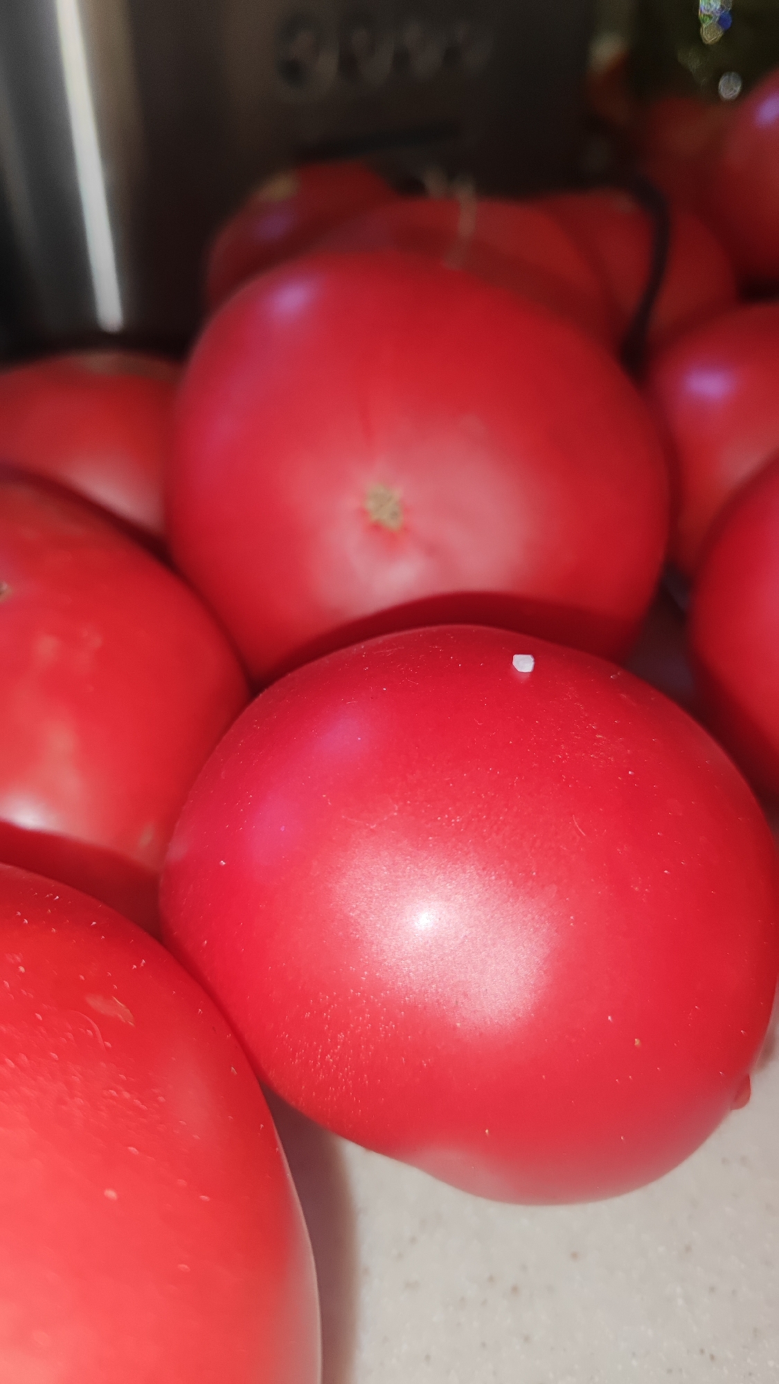 In Sochi, Russia, a close-up shot focuses on a pile of ripe red tomatoes, likely on a kitchen counter. One tomato in the foreground has a small, white speck on its surface. The background is blurred, hinting at kitchen appliances or other objects. The lighting is soft, highlighting the smooth texture of the tomatoes.