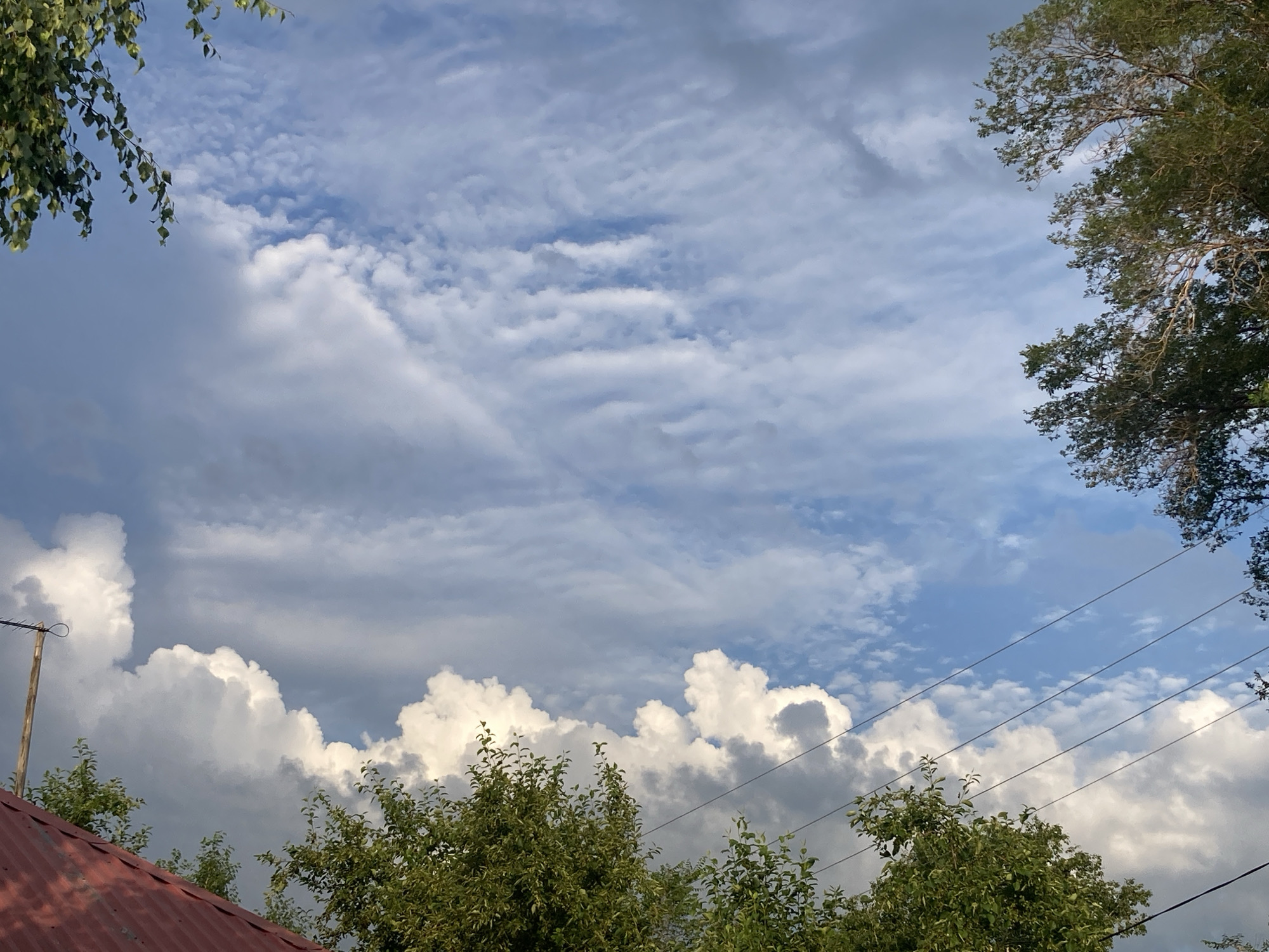 The image depicts a sky with scattered clouds, possibly taken on a partly cloudy day. The clouds vary in type, with some appearing as wispy cirrus clouds and others as larger, more voluminous cumulus clouds. The sky is a bright blue, indicating daylight, likely late morning or afternoon.
In the foreground, the tops of green trees are visible, with their leaves catching the sunlight. On the left side of the frame, a portion of a red-tiled roof can be seen, suggesting a rural or suburban setting. A wooden utility pole with some wires is also present, adding to the sense of a populated area. On the right side of the image, the branches of a large tree with dense foliage are visible against the sky. The overall scene conveys a sense of an outdoor environment, possibly a backyard or a view from a window. No people are visible in the image. There is no visible text.