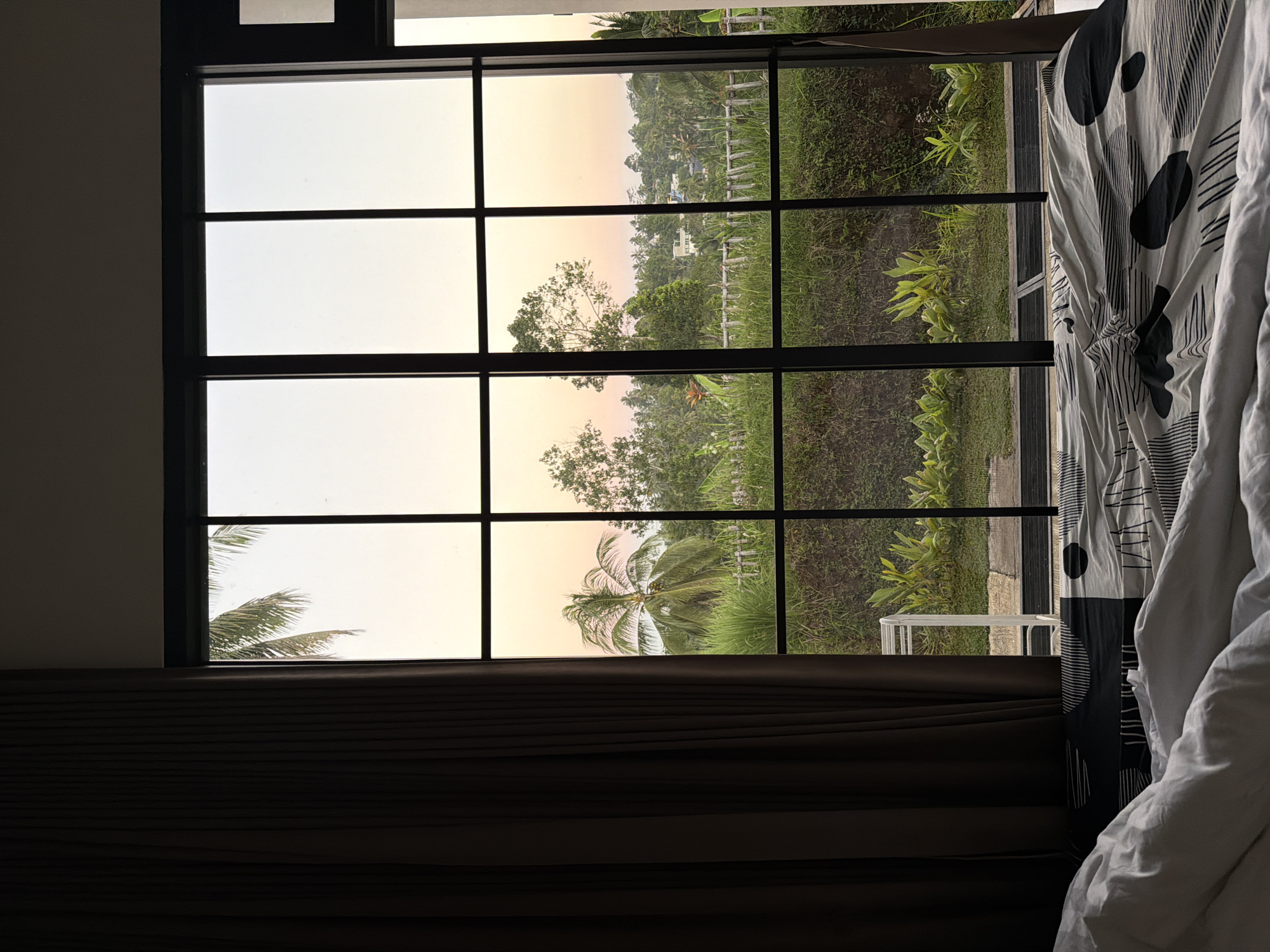 The image depicts a bedroom scene with a large window offering a view of the exterior. The window is divided into multiple panes by black mullions. To the left of the window, a dark brown curtain is drawn, partially obscuring the view. In the foreground, a bed with white and patterned sheets is visible. The sheets are covered in a black and white abstract design featuring lines and circular shapes.
Through the window, a lush green landscape is presented. In the middle ground, a prominent palm tree stands tall, surrounded by dense vegetation. Further in the distance, the landscape rolls out to reveal more trees, a body of water, and what appears to be a building in white. The sky above is a soft gradient of pale pink and yellow, suggesting either sunrise or sunset. The exterior appears to be a tropical or subtropical environment, possibly in or around Sidomulyo, Indonesia, given the presence of palm trees and dense greenery. No people are visible in the image.